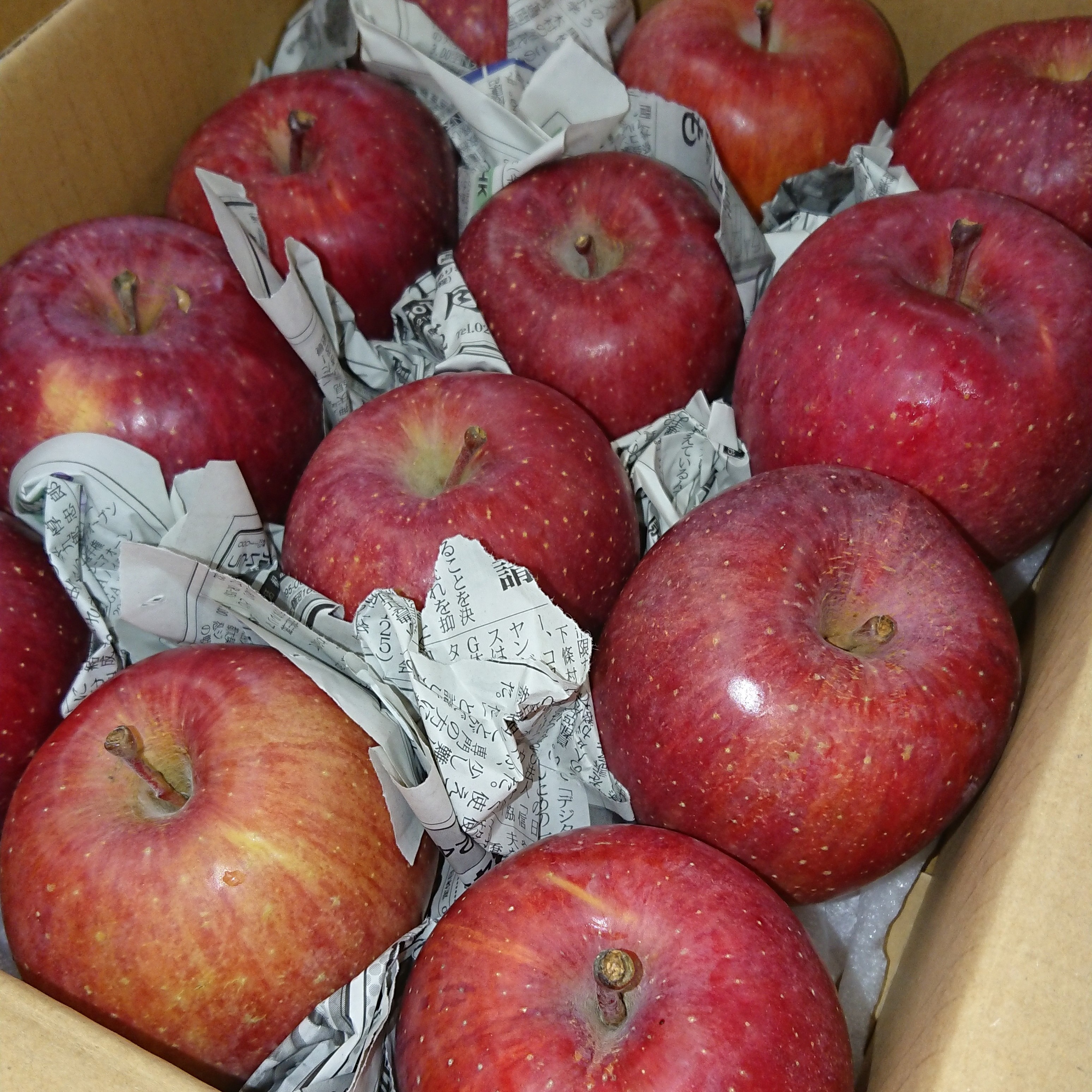 訳ありサンふじ】約10キロご家庭用 りんごといえばやっぱりこれ