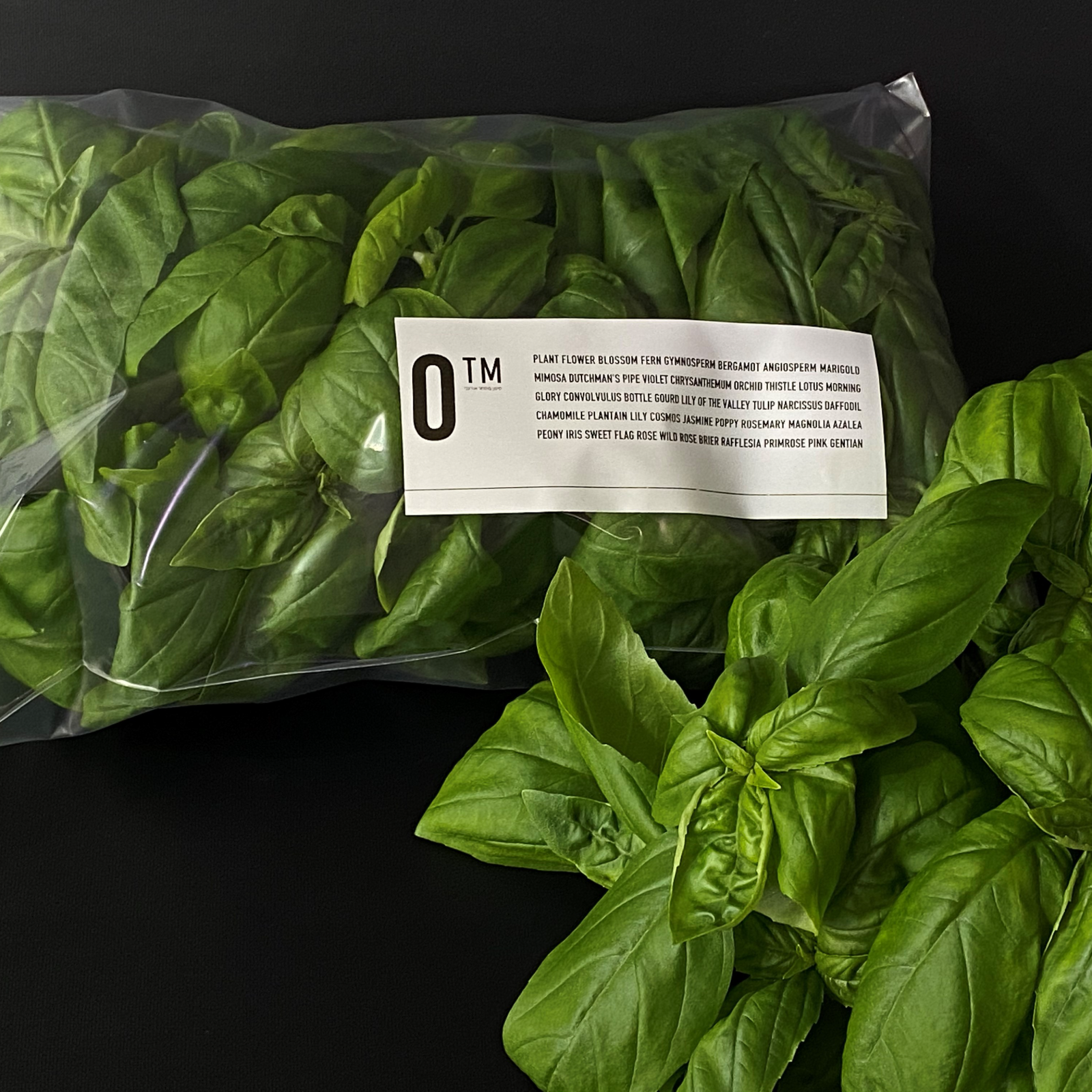 岡山産 とれたて無農薬バジル 2kg 2キロ