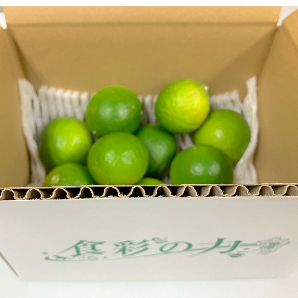Amuseable Lime ライム　柑橘　廃盤　果物 新品　