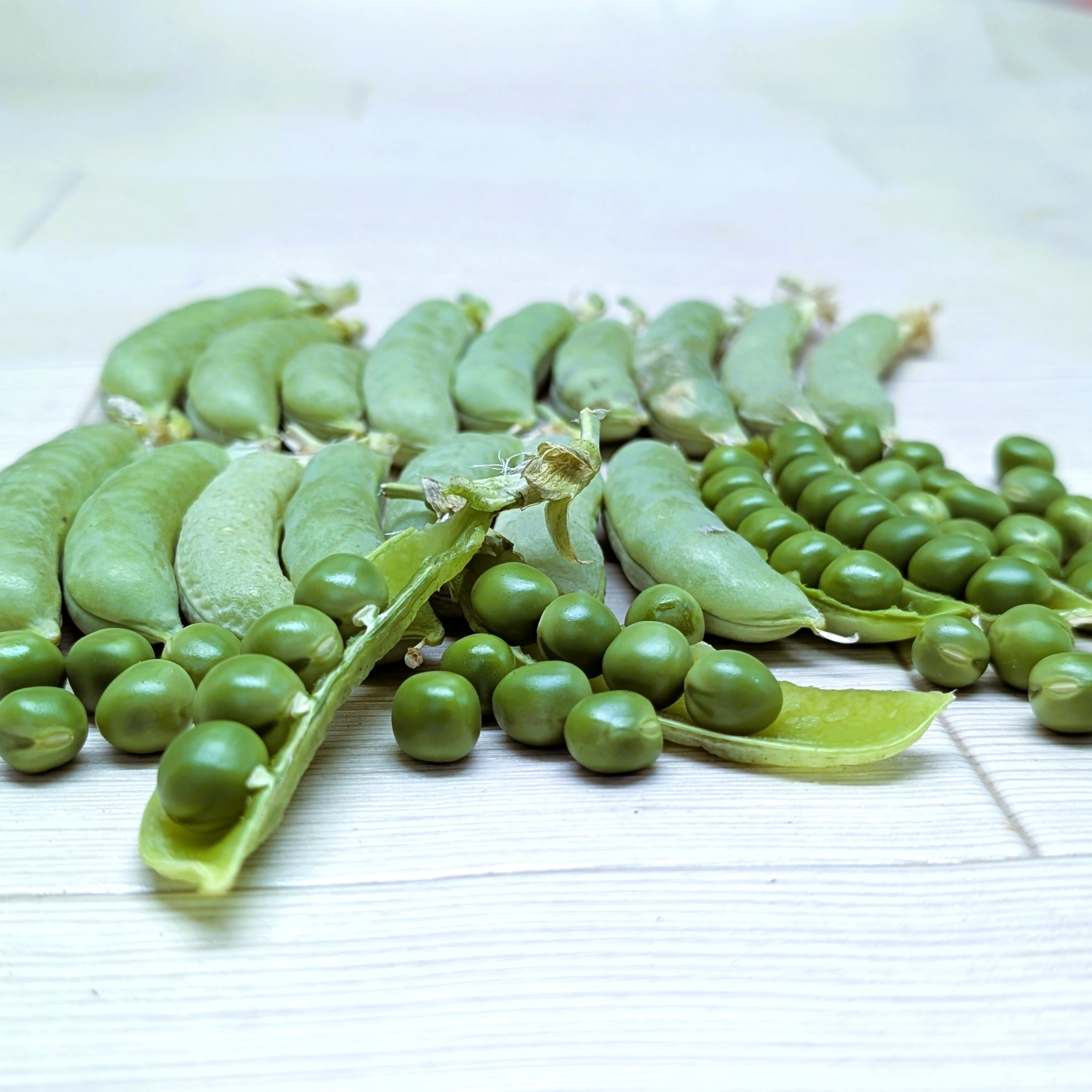 おすすめ商品】完熟スナップ豌豆 農薬不使用（無農薬）栽培 | 野菜 