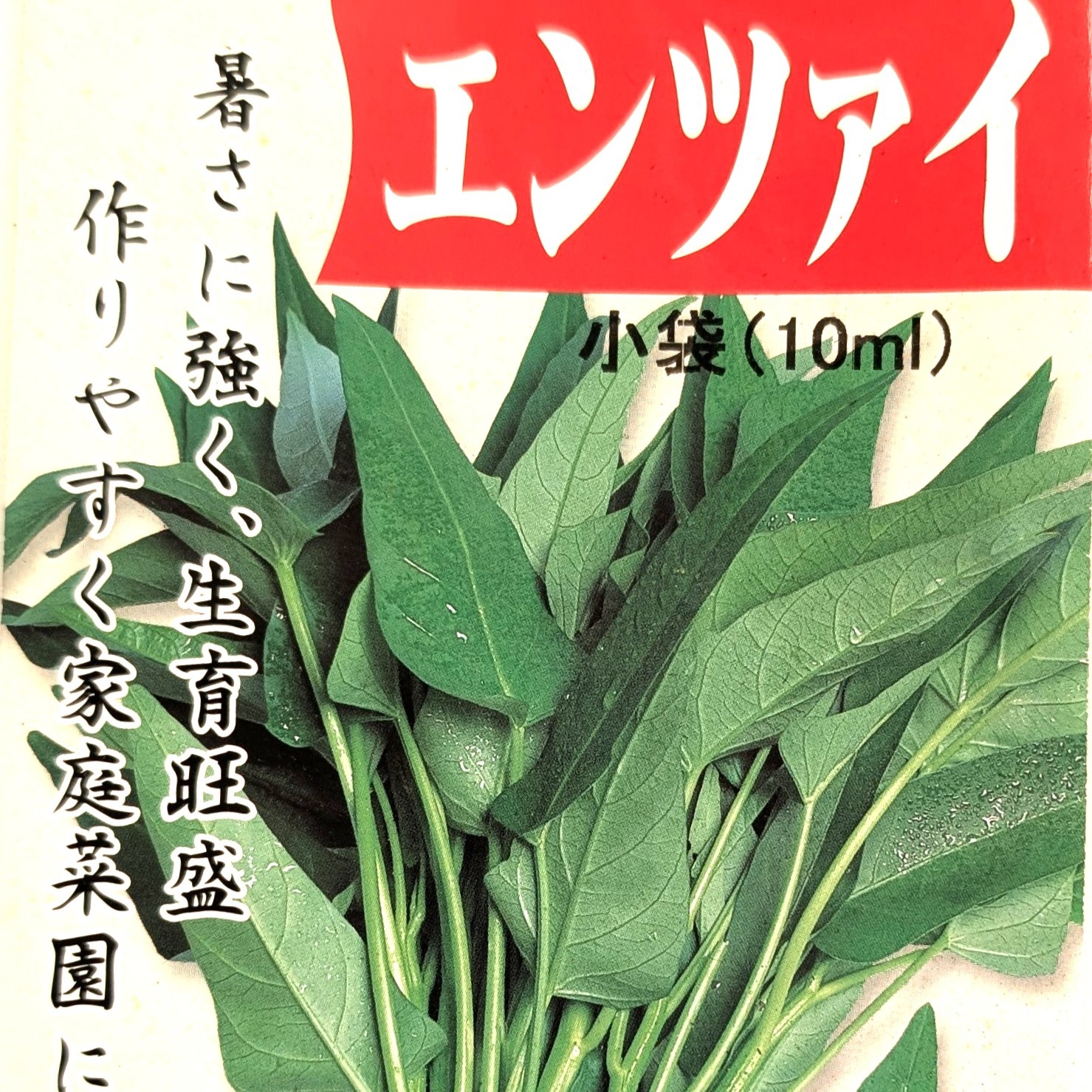 おすすめ商品】空芯菜（エンツァイ）栽培期間中農薬不使用 | 野菜