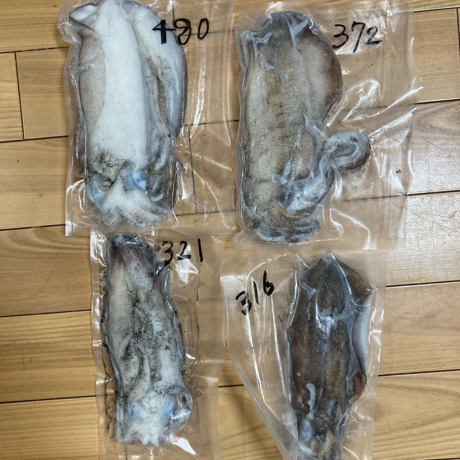 イカの王様！アオリイカ！活締め1.4キロ！ | 魚介類/イカ 産直アウル