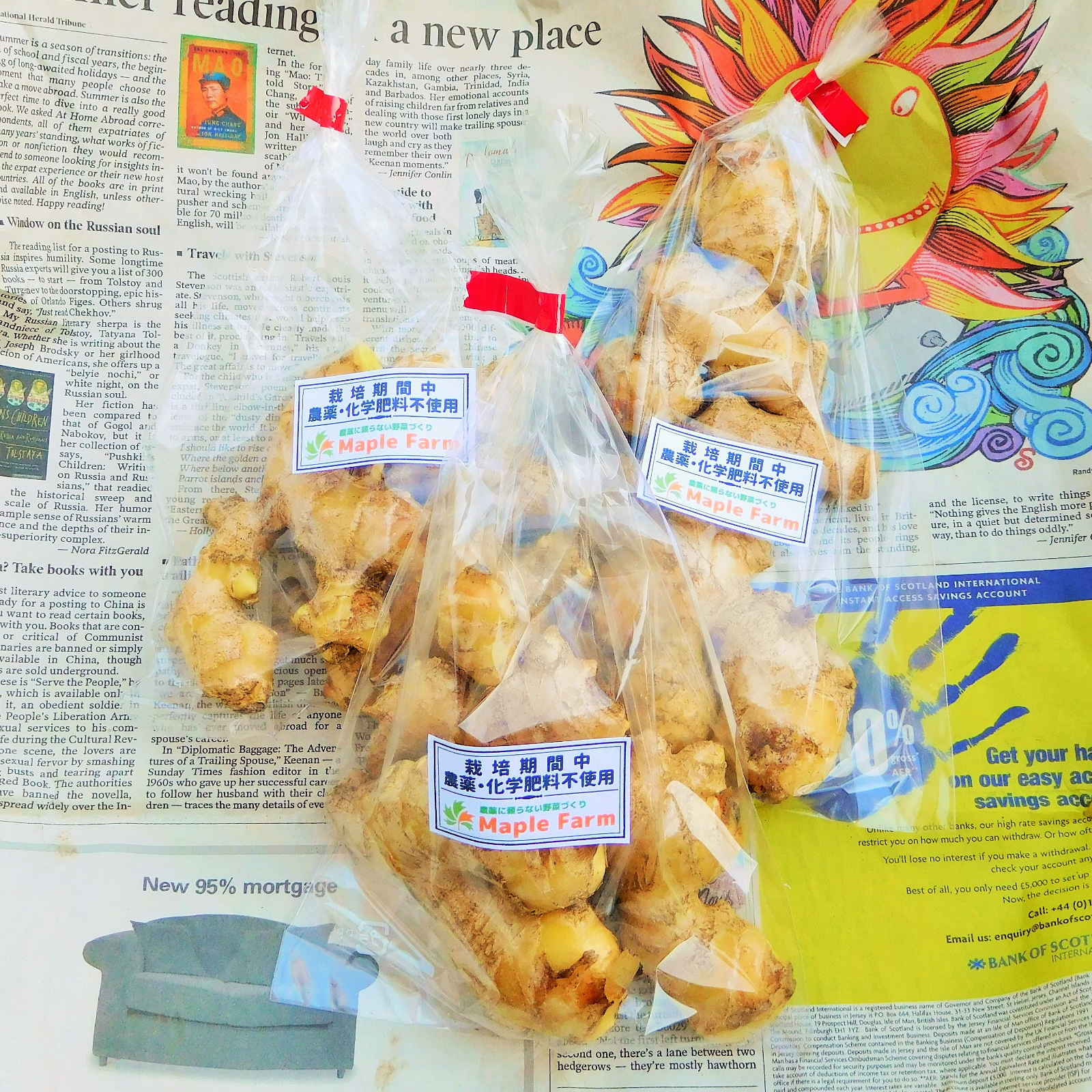 送料込み！】大分県産生姜150g×3袋（栽培期間中農薬・化学肥料不使用