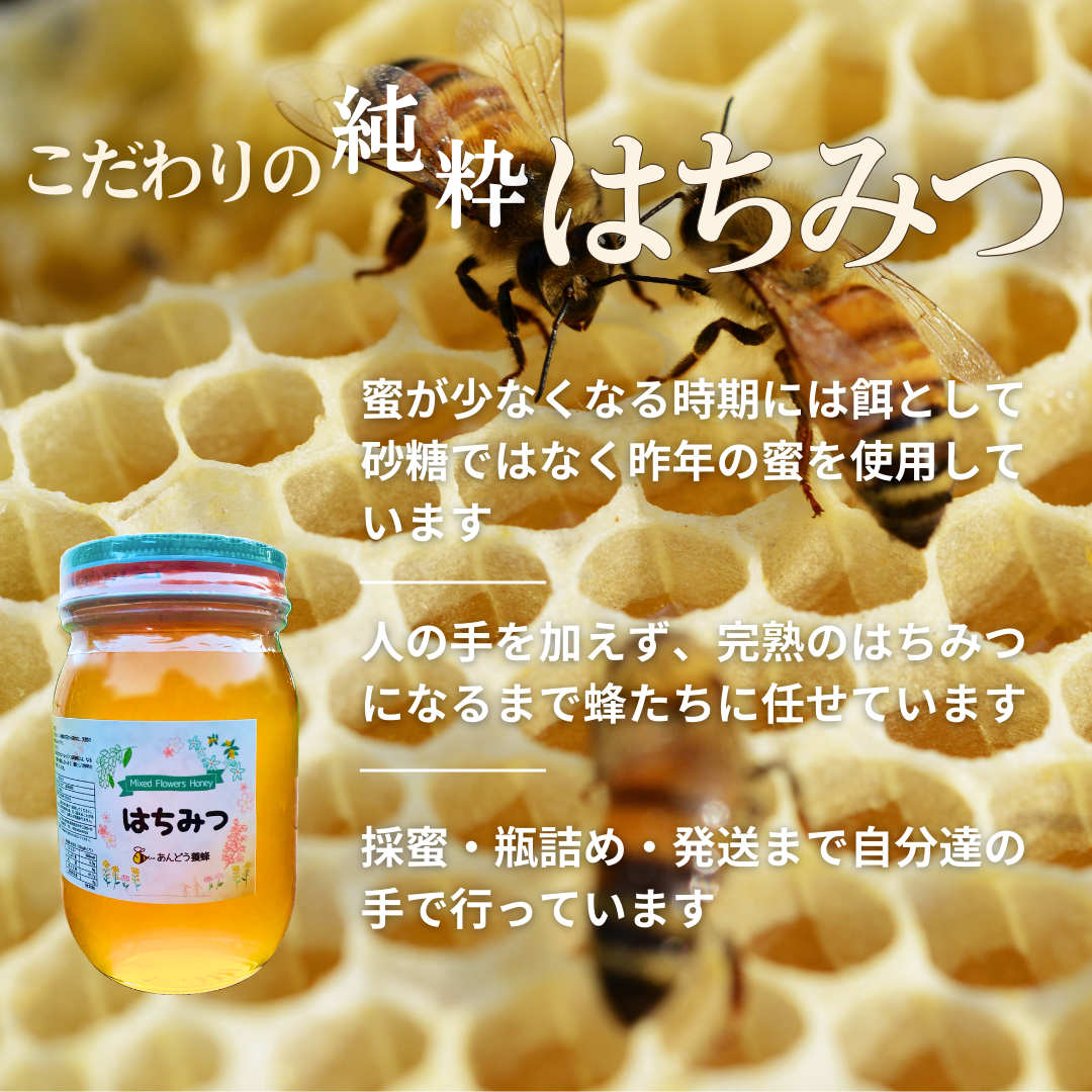 実容量600g×2瓶　　日本ミツバチの蜂蜜