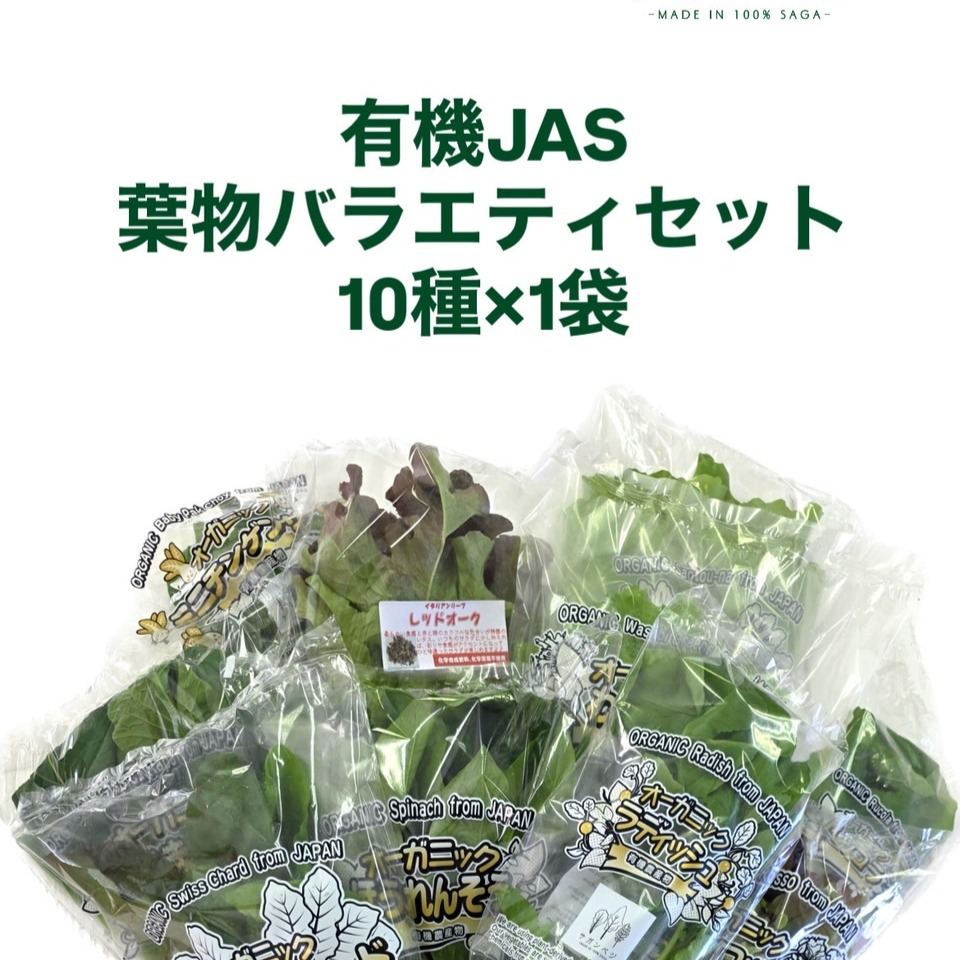 サガンベジ（佐賀県・みやき町）｜生産者詳細｜産直アウル