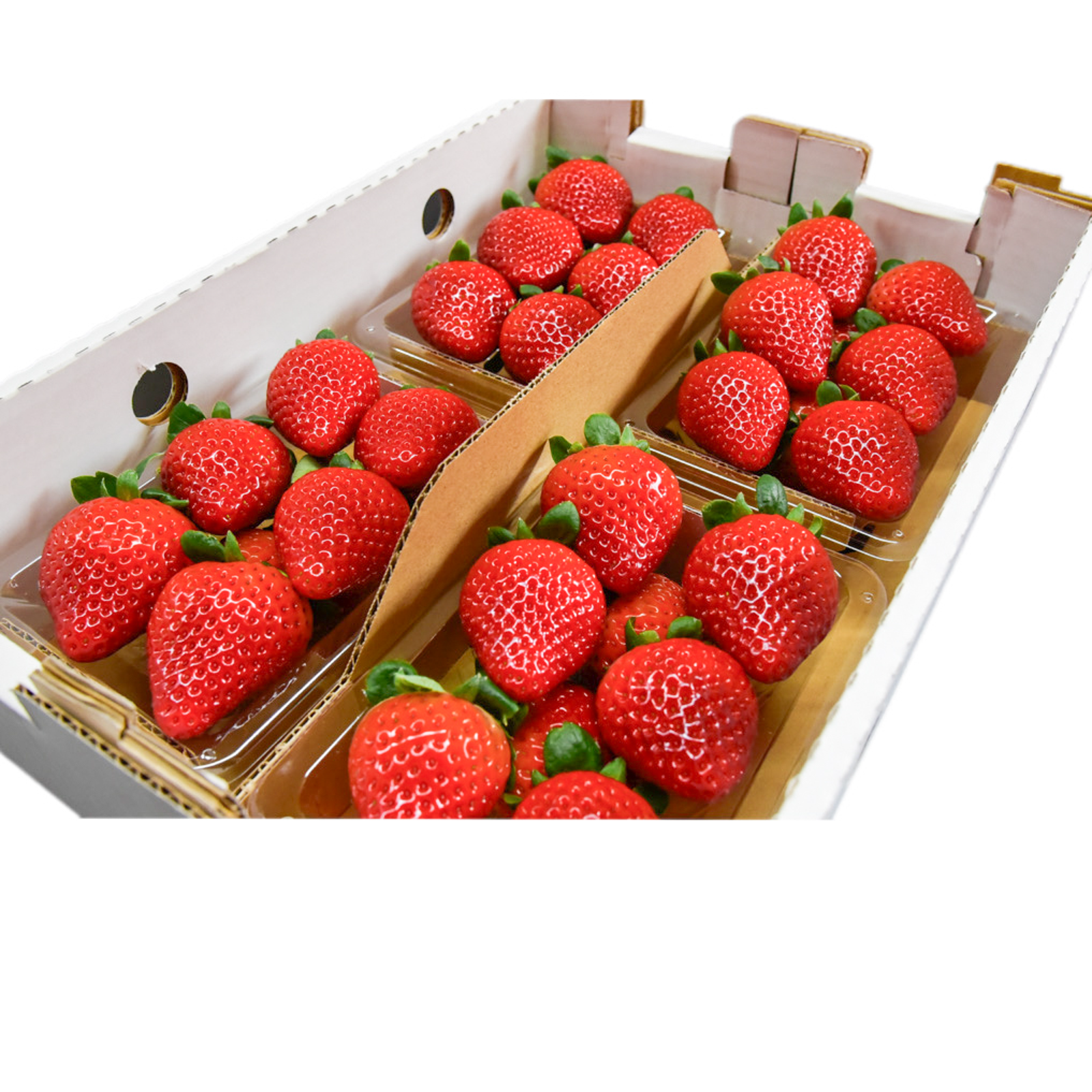26.27日発送予定　とちあいか♪ 苺の実はるいちご園　農家直送品　A級品2kg 苺 とちあいか（約280g×4パック）栃木県 JAうつのみや産: とちぎ新鮮
