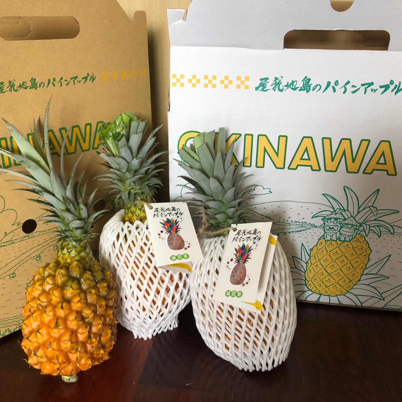 農薬節約栽培】屋我地島の完熟スナックパイン🍍 ｜ 果物/パイナップル