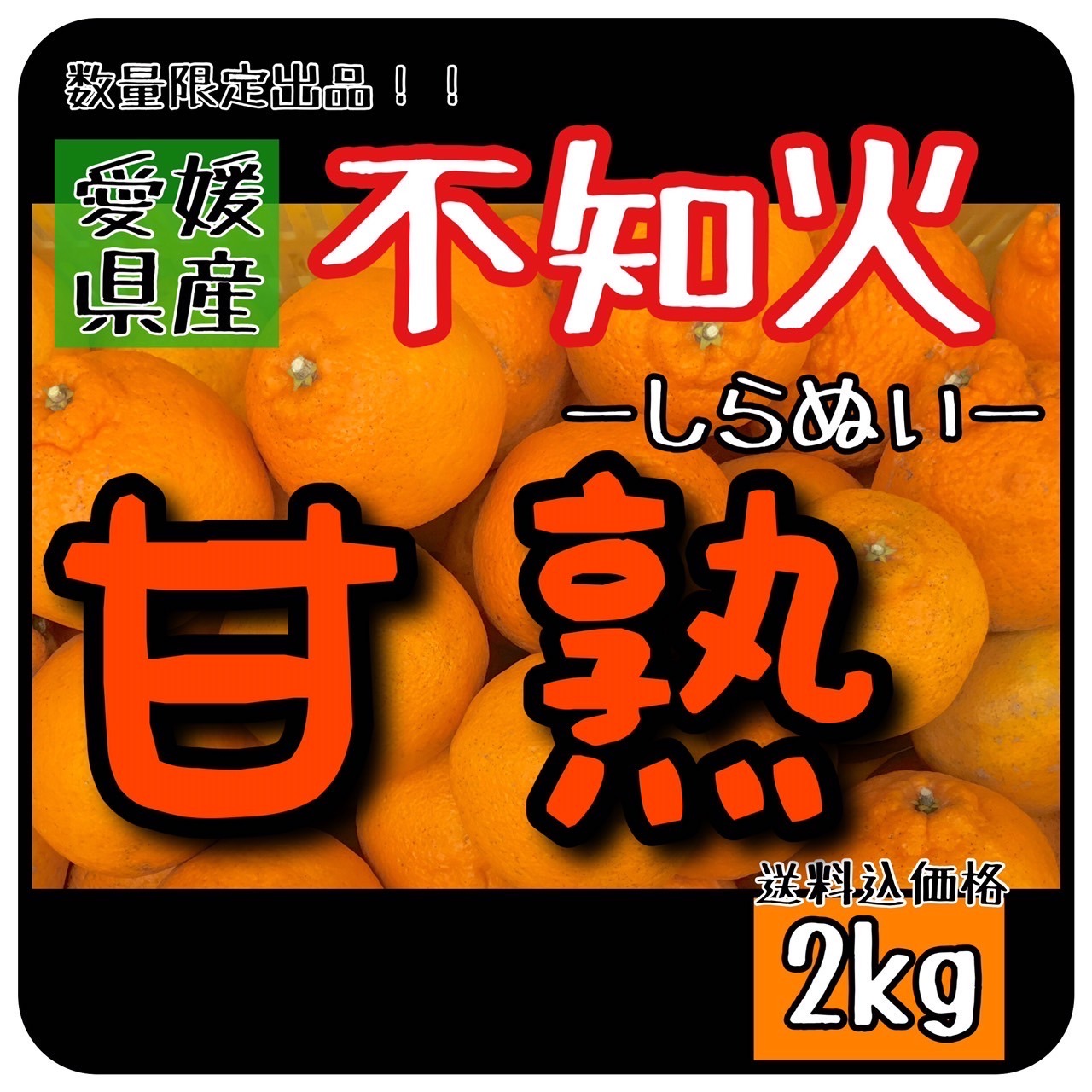 北海道 沖縄のお客様用】しらぬひフルーツ果物くだもの果実みかん柑橘