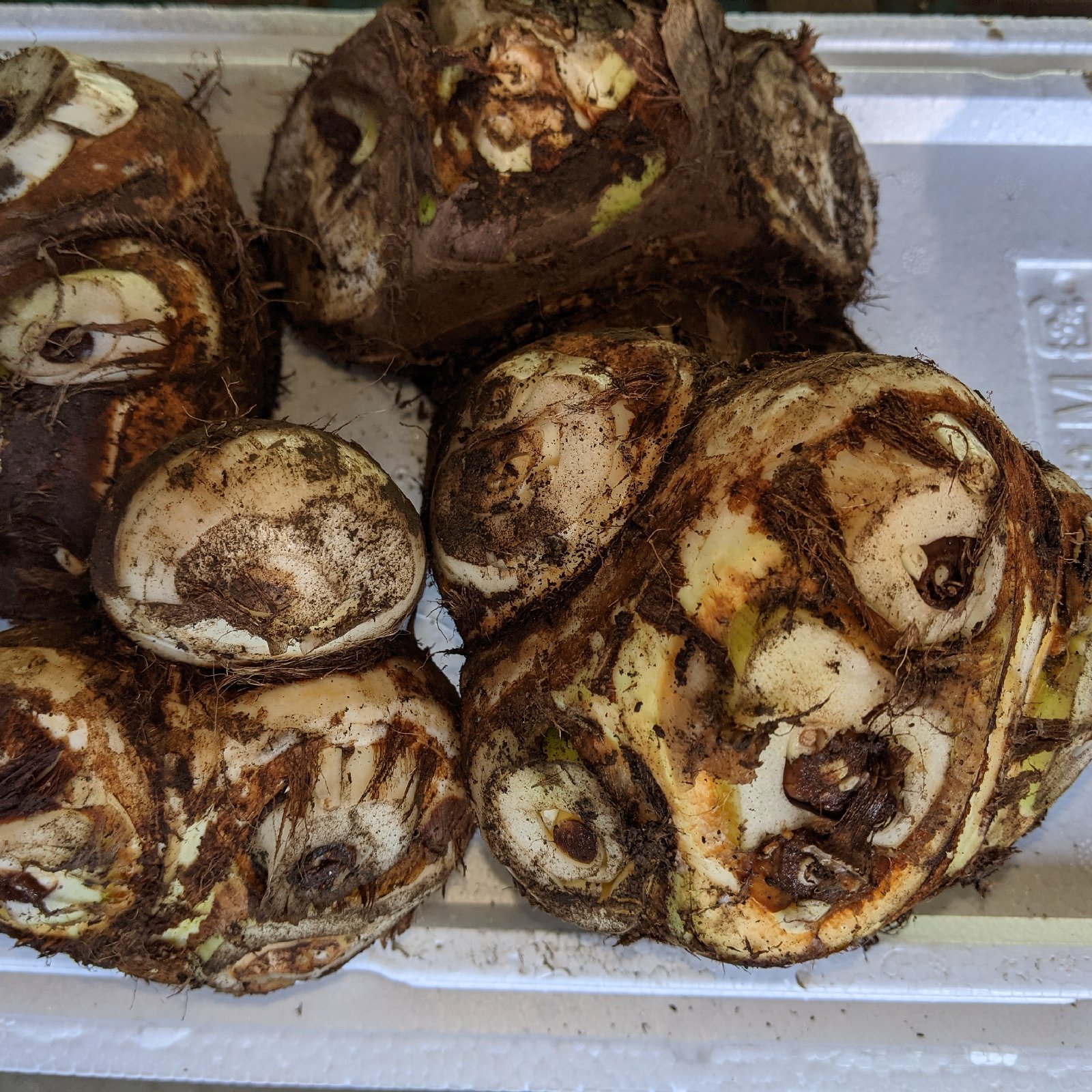 こむぎ様専用【埼玉特産】八ツ頭