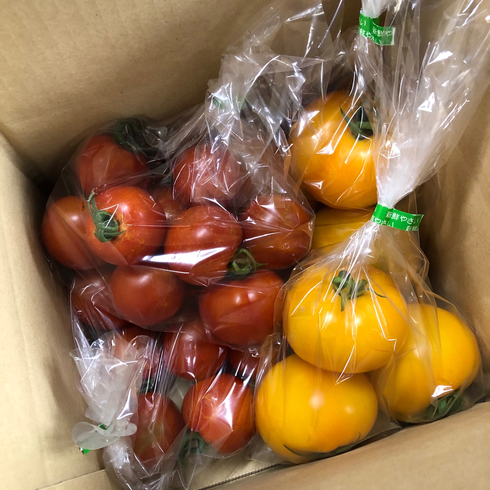 三浦産！トマトセット ｜ 野菜/トマト 産直アウル 農家・漁師など生産