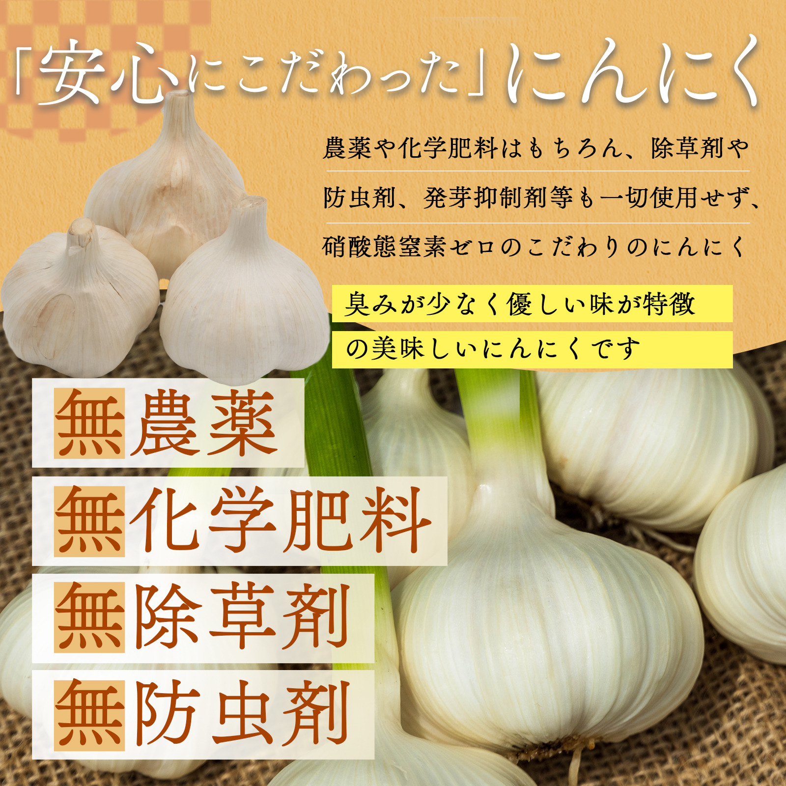 福地ホワイト6片　1kg 農薬不使用　除草剤不使用　バラ ☆『農薬・化学肥料・除草剤・防虫剤等不使用』 福地ホワイト六片