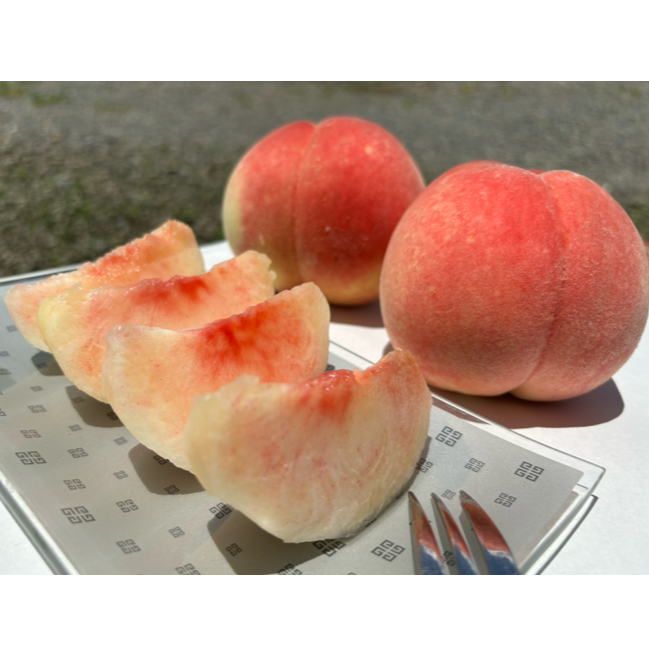桃源郷錦 あかつき桃 2kg箱(6〜8個入り) ｜ 果物/もも 産直アウル 農家
