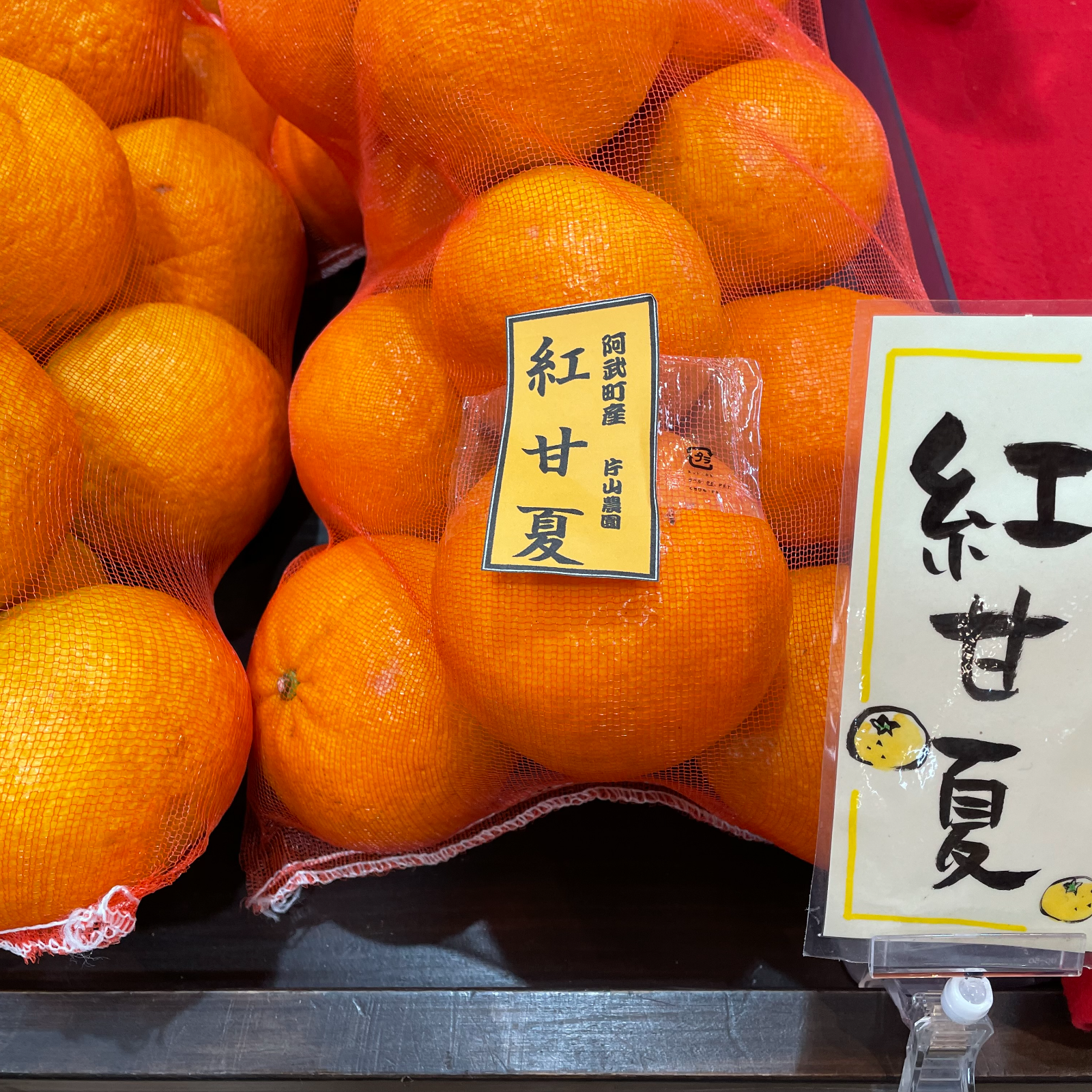 令和6年度 片山農園 紅甘夏 ｜ 果物/オレンジ・その他みかん 産直
