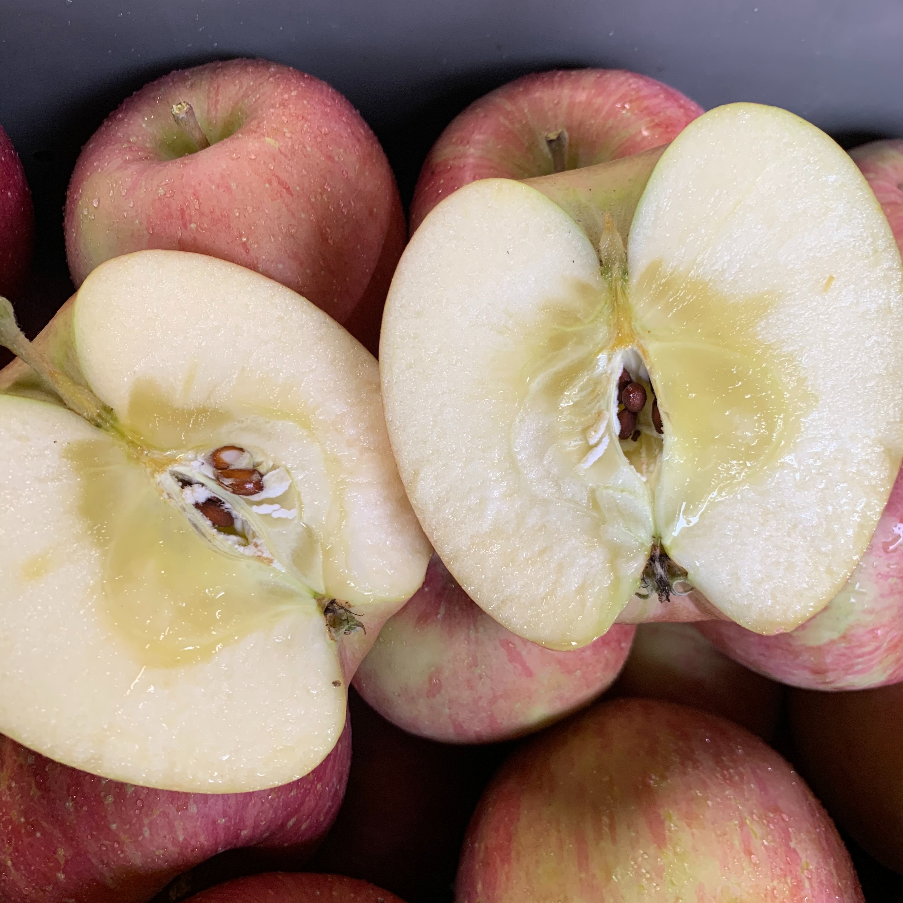 青森りんごを直送～ ハネ（規格外品）『完熟サンふじ』3Kg 9個から