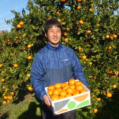 させぼ温州　みかん 10キロ 8680015367abb749742fd14a2a785f