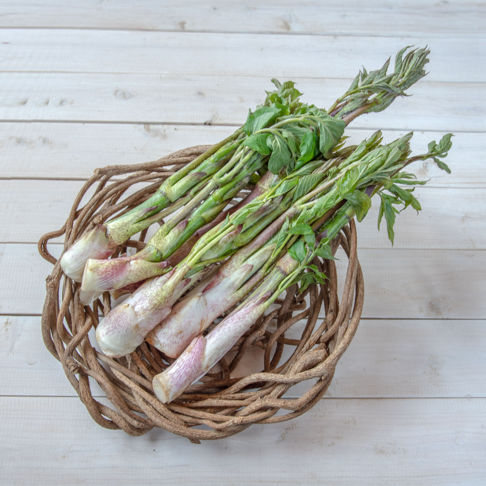 ウド（野菜＞山菜）の産地直送商品一覧（通販・お取り寄せ）-産直アウル