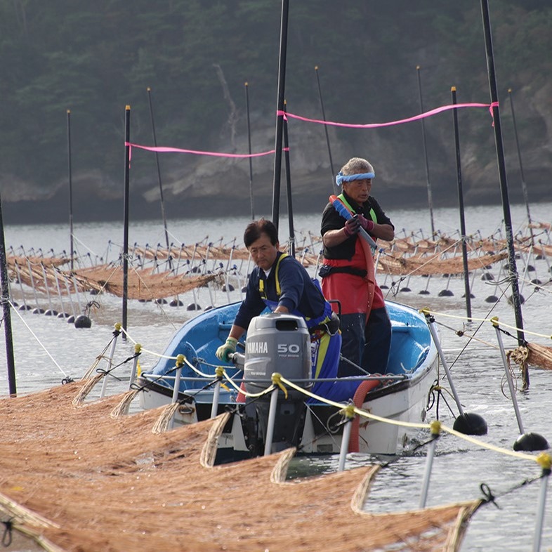 一番摘み「焼海苔八つ切り」 5袋 ｜ 魚介類/のり 産直アウル 農家