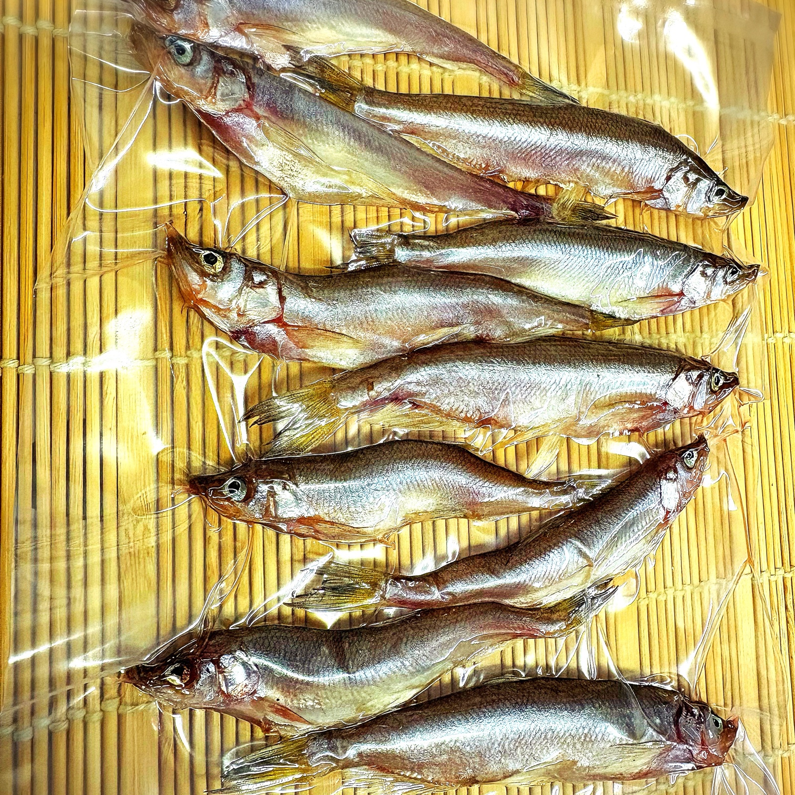 ししゃも 子持ちししゃも一夜干し | 船長の家 (永田水産)