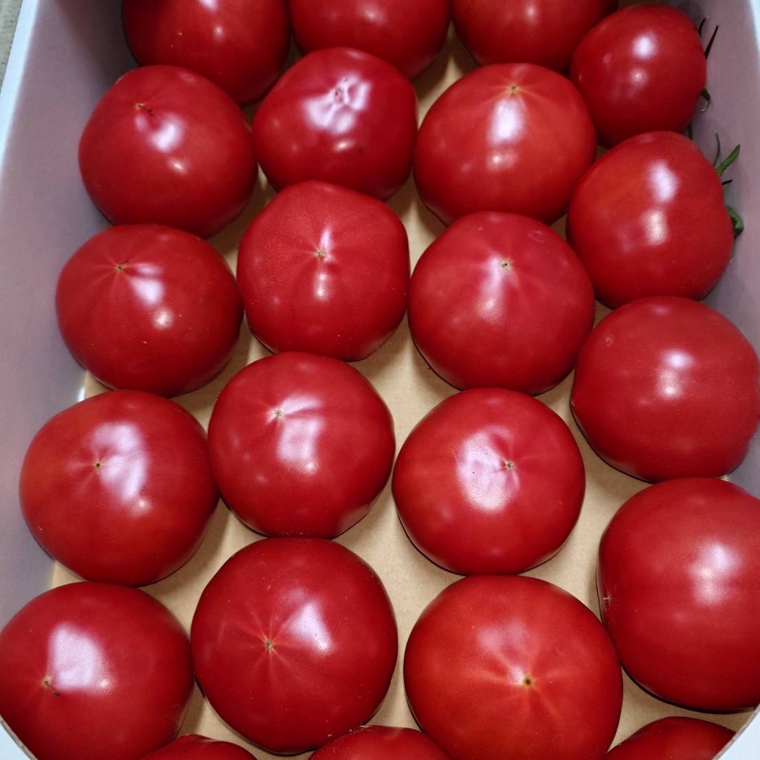 4月関東限定』完熟とまとA品約4kg 送料込み （中玉20〜30個） | 野菜