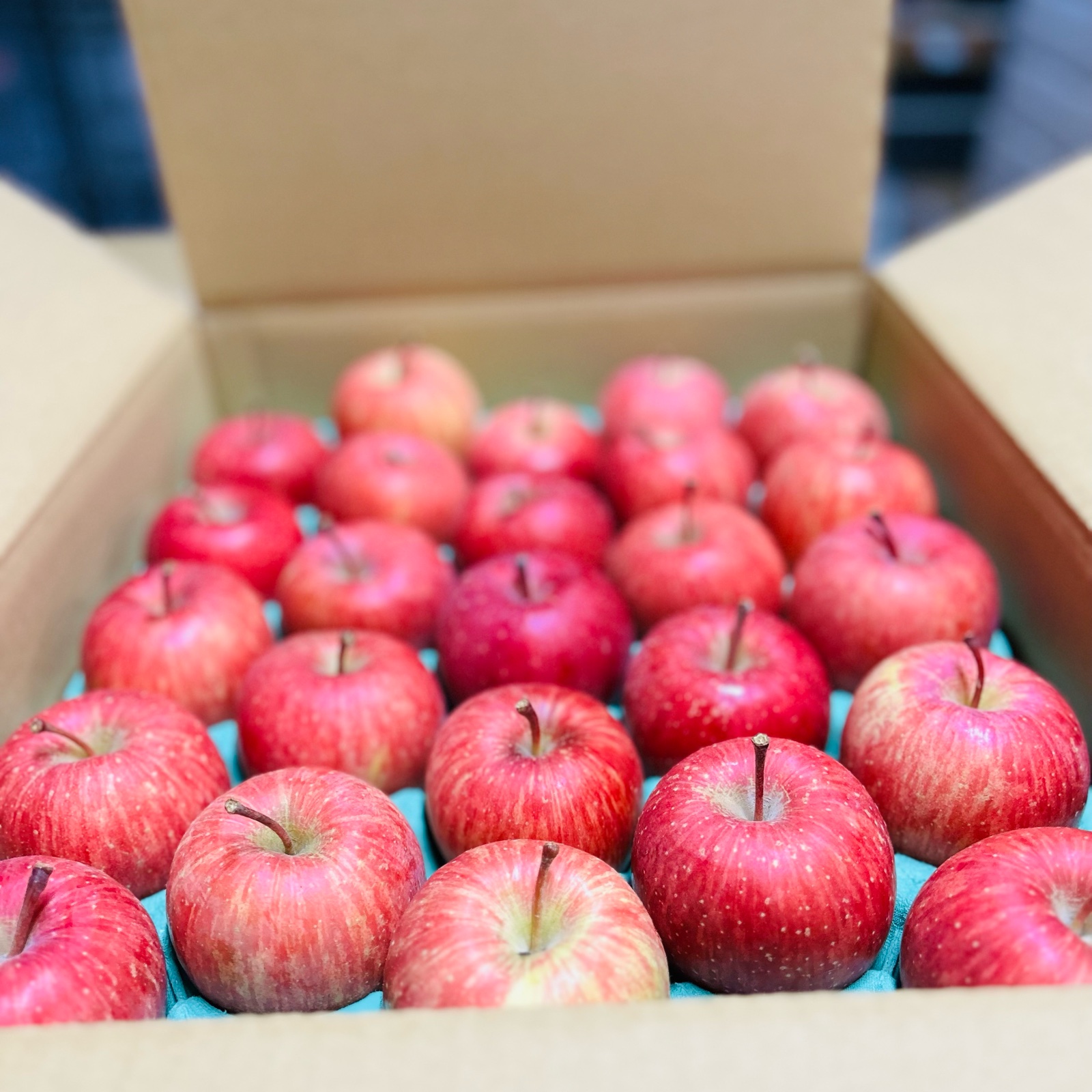 サンふじ 小玉 ご家庭用 約5キロ | 果物/りんご 産直アウル 農家から