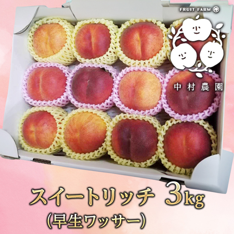 桃 スイートリッチ（プレミアムワッサー） 3kg ｜ 果物/もも 産直