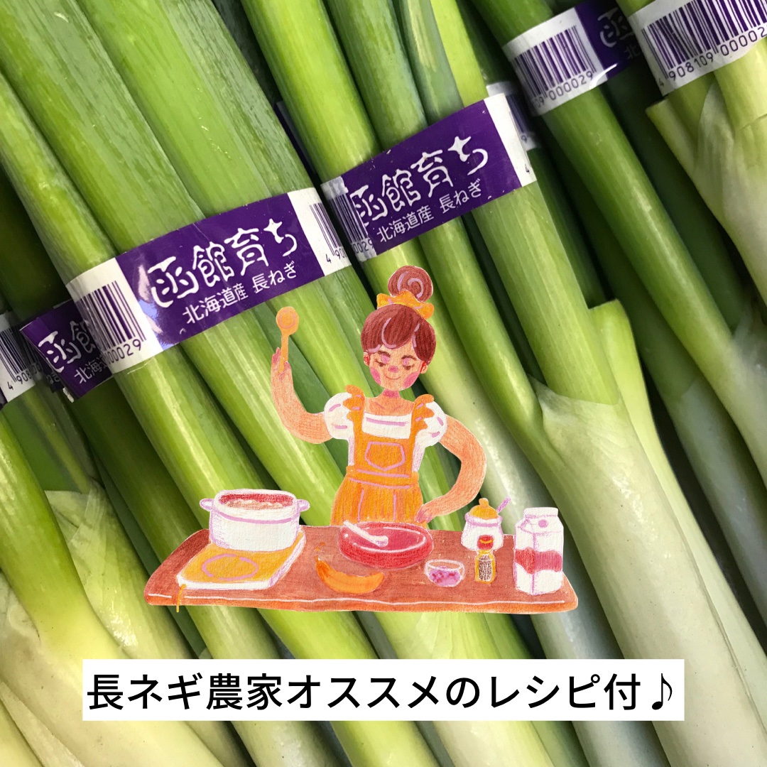 長ネギ1.8kg ｜ 野菜/ねぎ 産直アウル 農家・漁師など生産者から直接