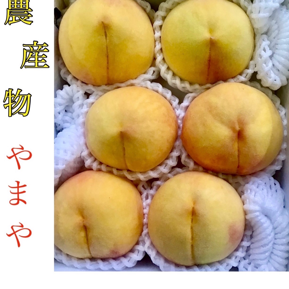 黄金桃！秀品大玉5〜6個入あら川ブランド桃 ｜ 果物/もも 産直アウル