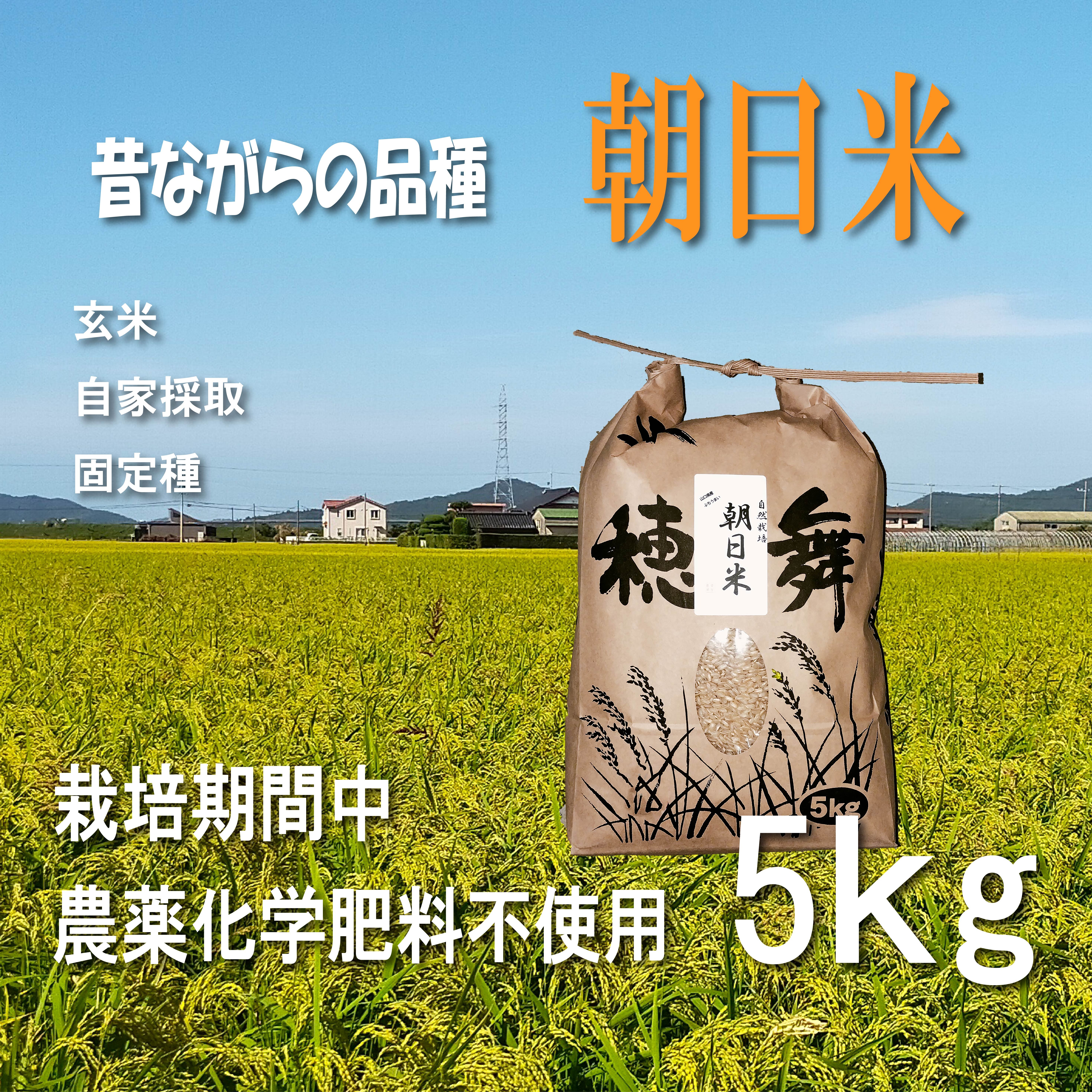 2025年 自然栽培（20年以上）で作った おいしいお米 5kg（玄米