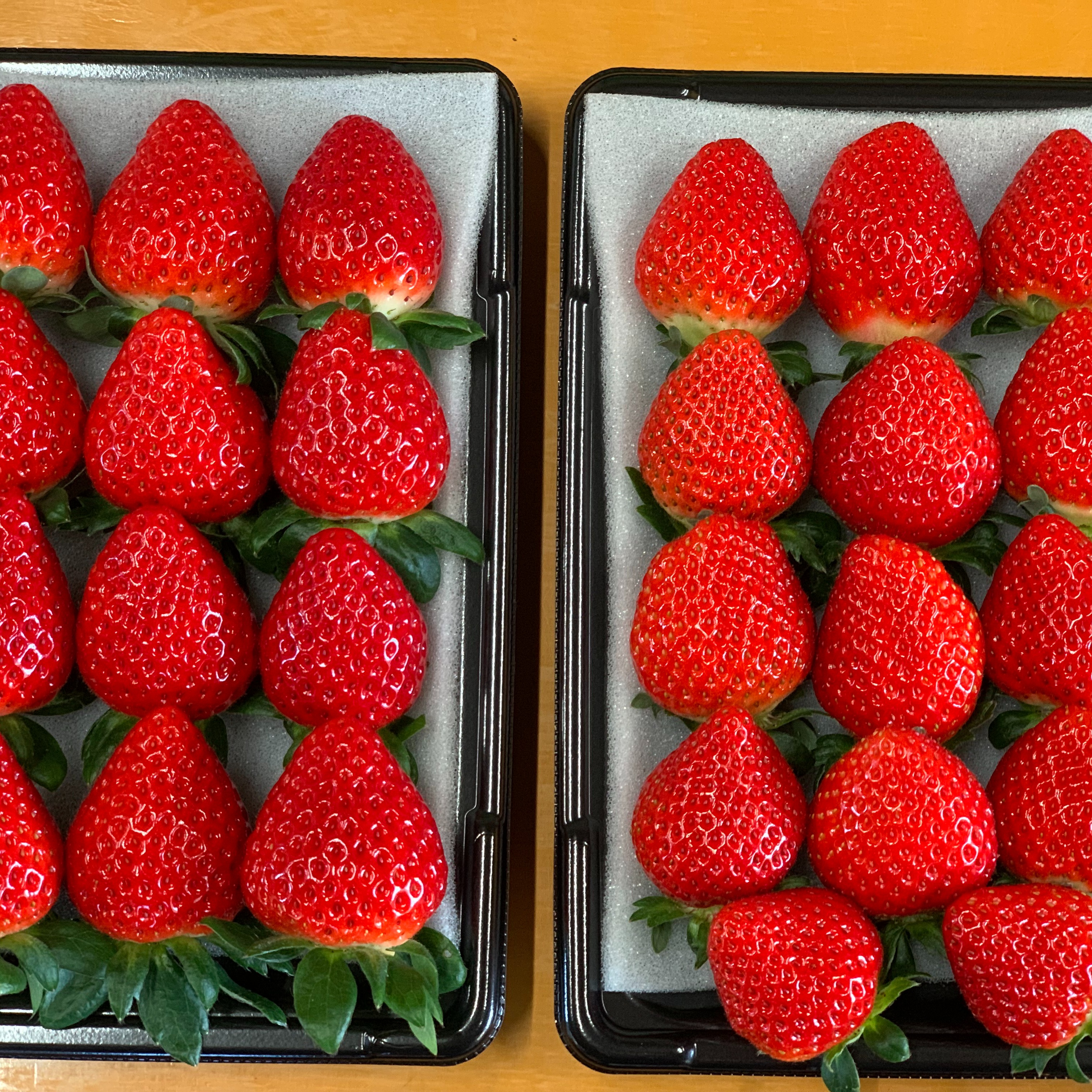 あまりん・かおりん】食べ比べ2パック(500g)🍓 | 果物/いちご 産直