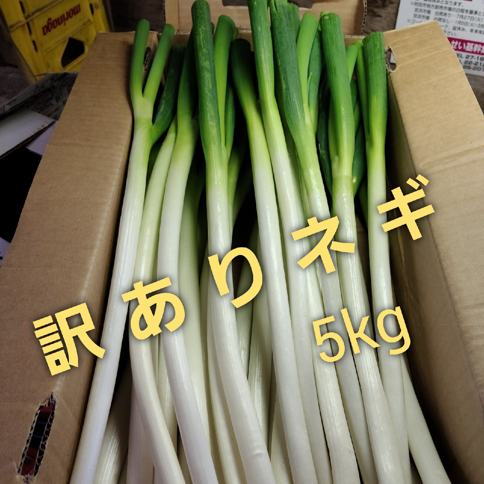 訳あり長ネギ５kg以上 秋田県産 1vulzzo0wm 食品 Www Liternoblock It