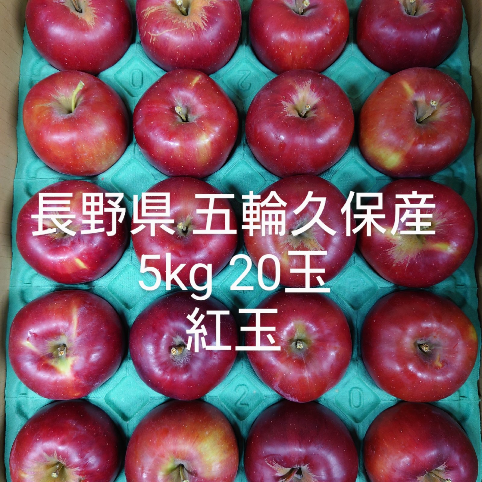 長野県 五輪久保産 紅玉 5kg20玉 ｜ 果物/りんご 産直アウル 農家