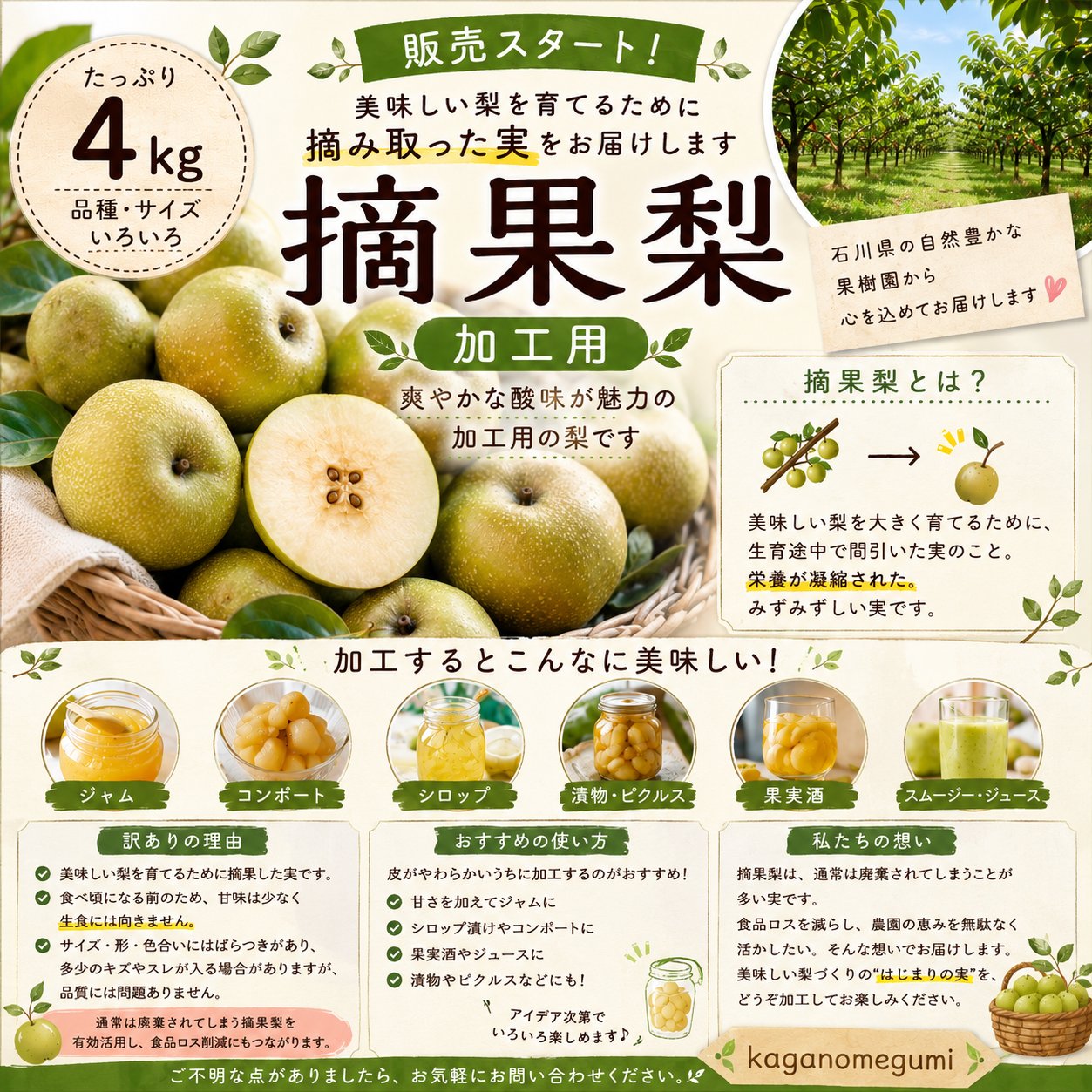 kaganomeg…の最新投稿「【今年も摘果の季節がやってきました】」｜産地
