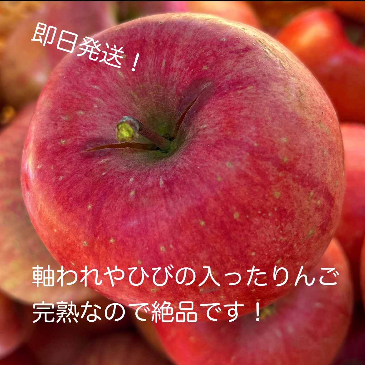 ラス1 大容量 早い者勝ち 訳あり 20キロ サンふじ 赤りんご 葉とらずサンふじ | 産地直送通販 | 青森りんご | RED APPLE（レッド