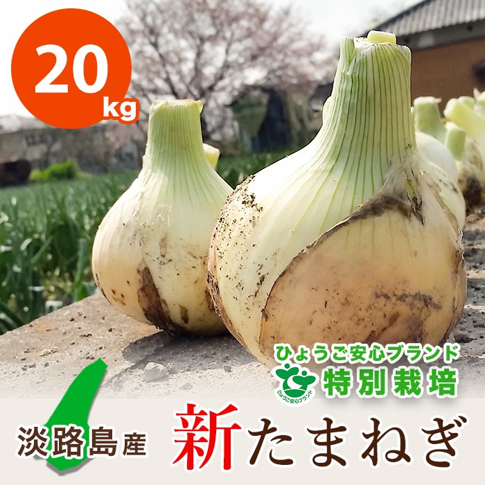 20kg】 新たまねぎ 淡路島産 特別栽培 兵庫県認証食品 レシピ付き