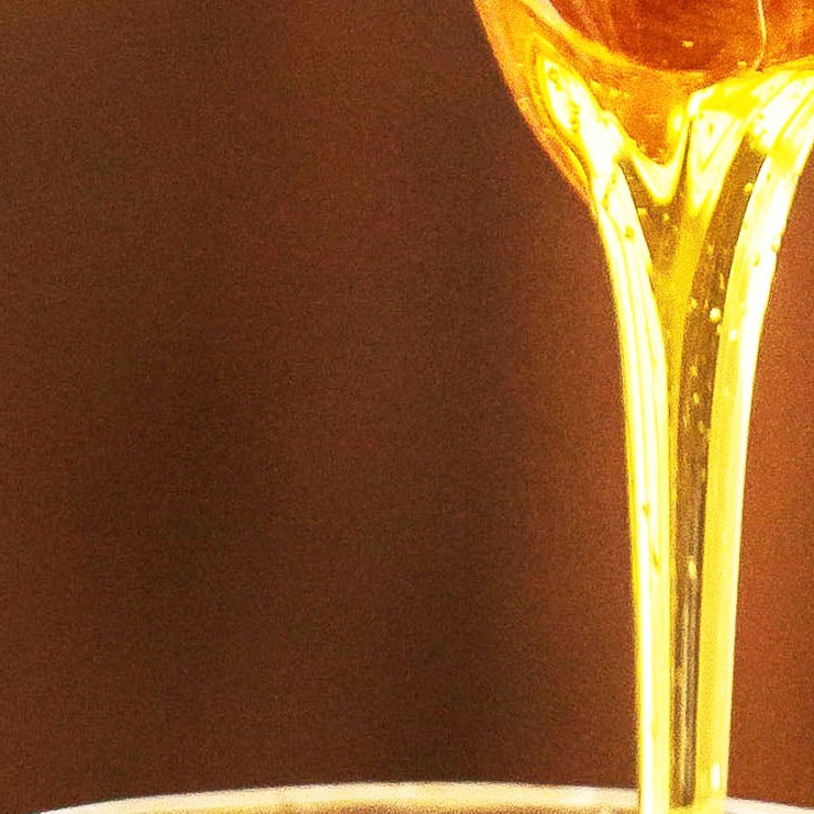 非加熱 生はちみつ 岡山百花蜜 500g×2本［神の使いHoney］ ｜ はちみつ