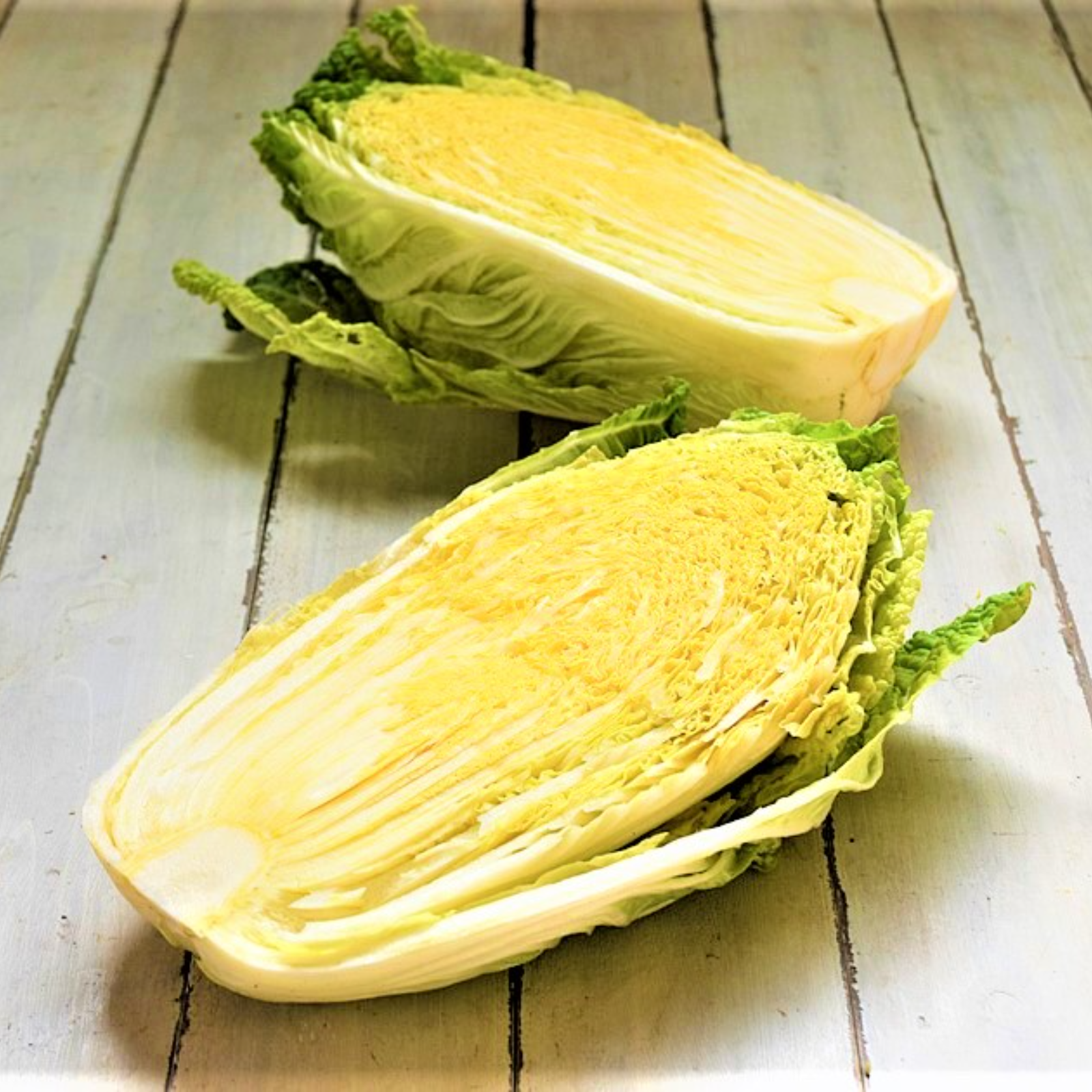 農薬不使用栽培 オレンジ白菜2玉セット | 野菜/白菜 産直アウル