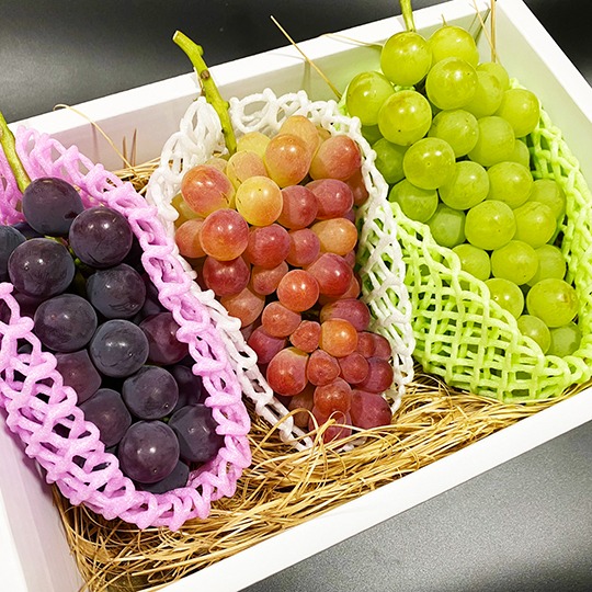 贈答用ぶどうセット】岡山県産3色おいしいぶどう詰め合わせ ｜ 果物