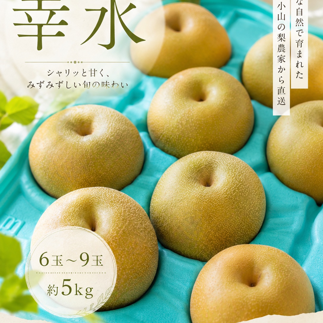 大玉値下げしました！曽篠梨園の幸水梨6玉から9玉の大玉！（サイズは