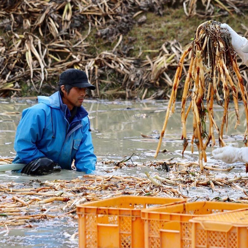 8987f9c94e31c28001ffec039291af