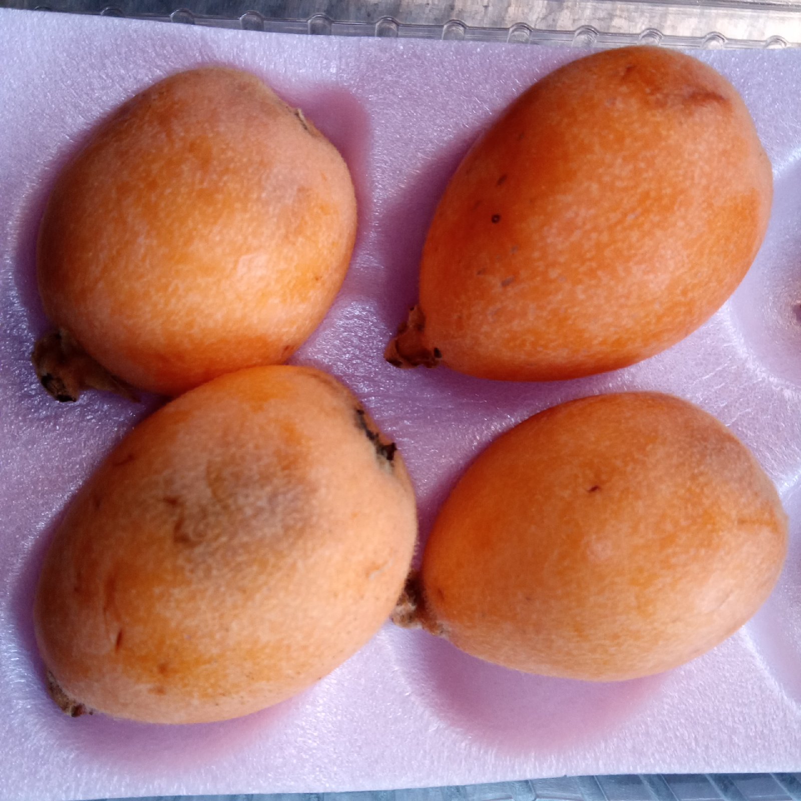 わけあり】農薬化学肥料不使用びわ500g以上 ｜ 果物/びわ 産直アウル
