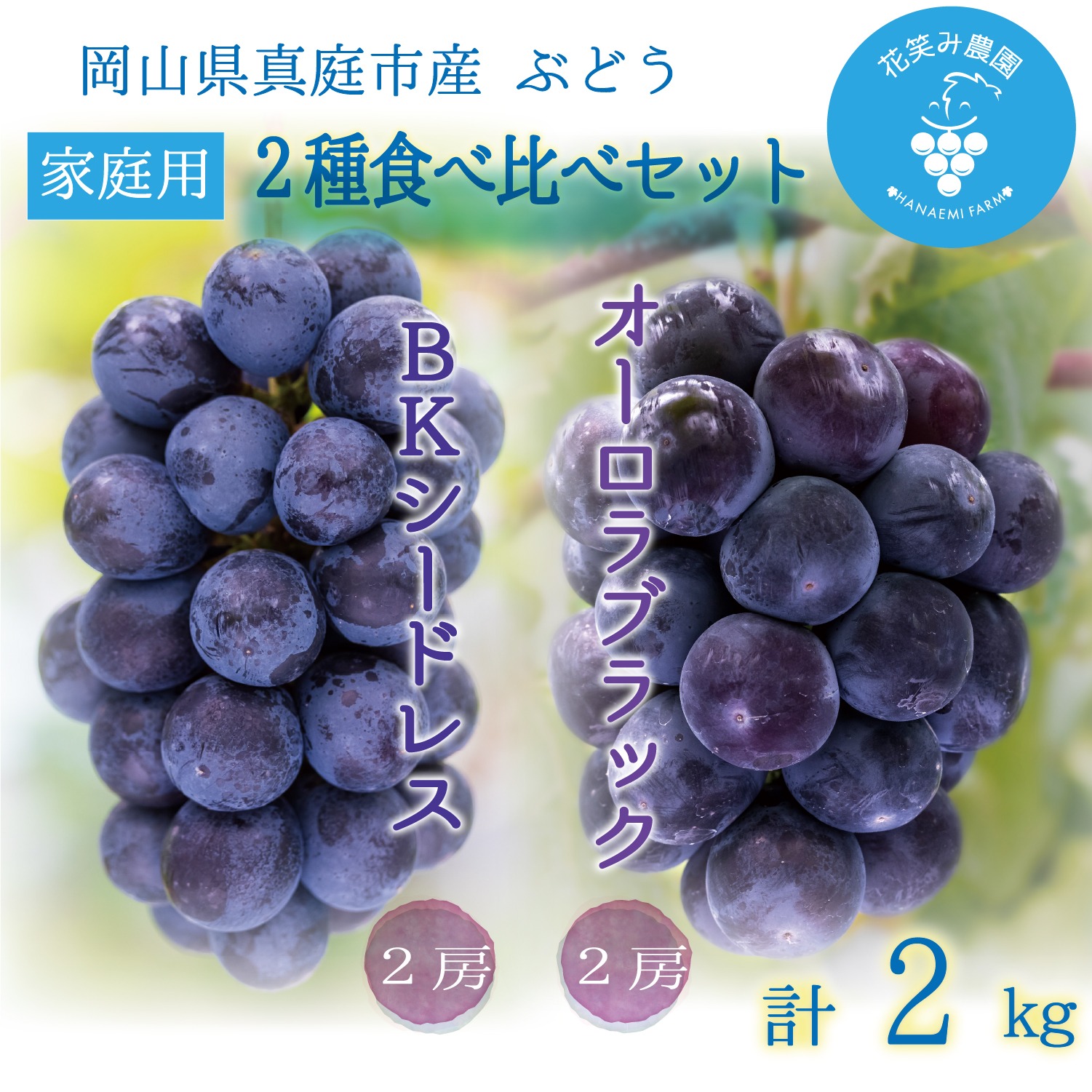 BA-2家 花笑み農園 岡山の『BKシードレス＆オーロラブラック』約2kg