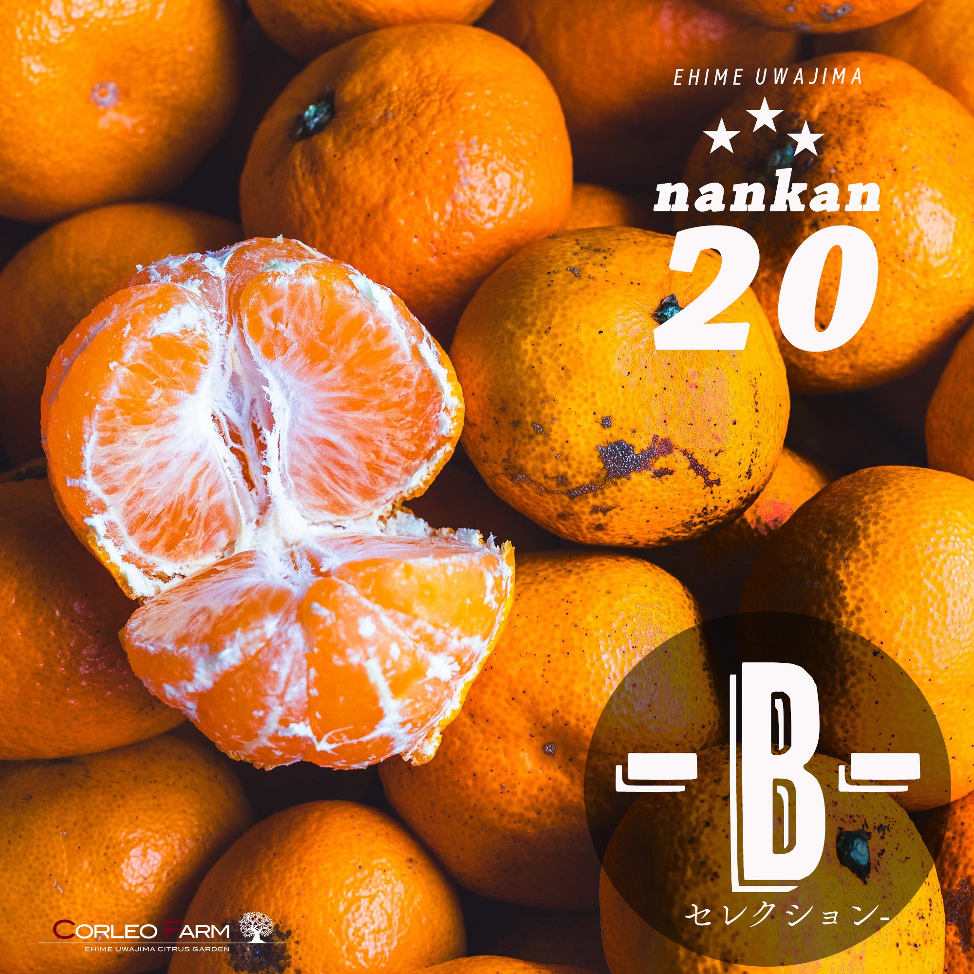 □傷あり不揃いの旨さ主義□濃厚な甘みとコクの南柑20号Bセレクション