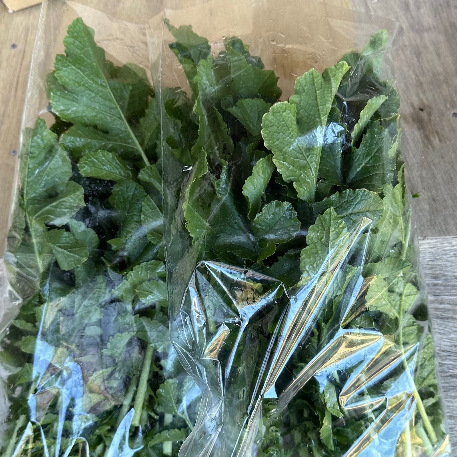 大根の葉詰め合わせ ｜ 野菜/大根 産直アウル 農家・漁師など生産者