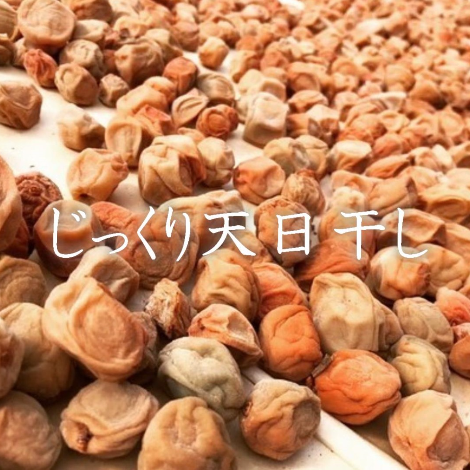 雪花菜、新梅！我が家に伝わる昔ながらの酸っぱい梅干し