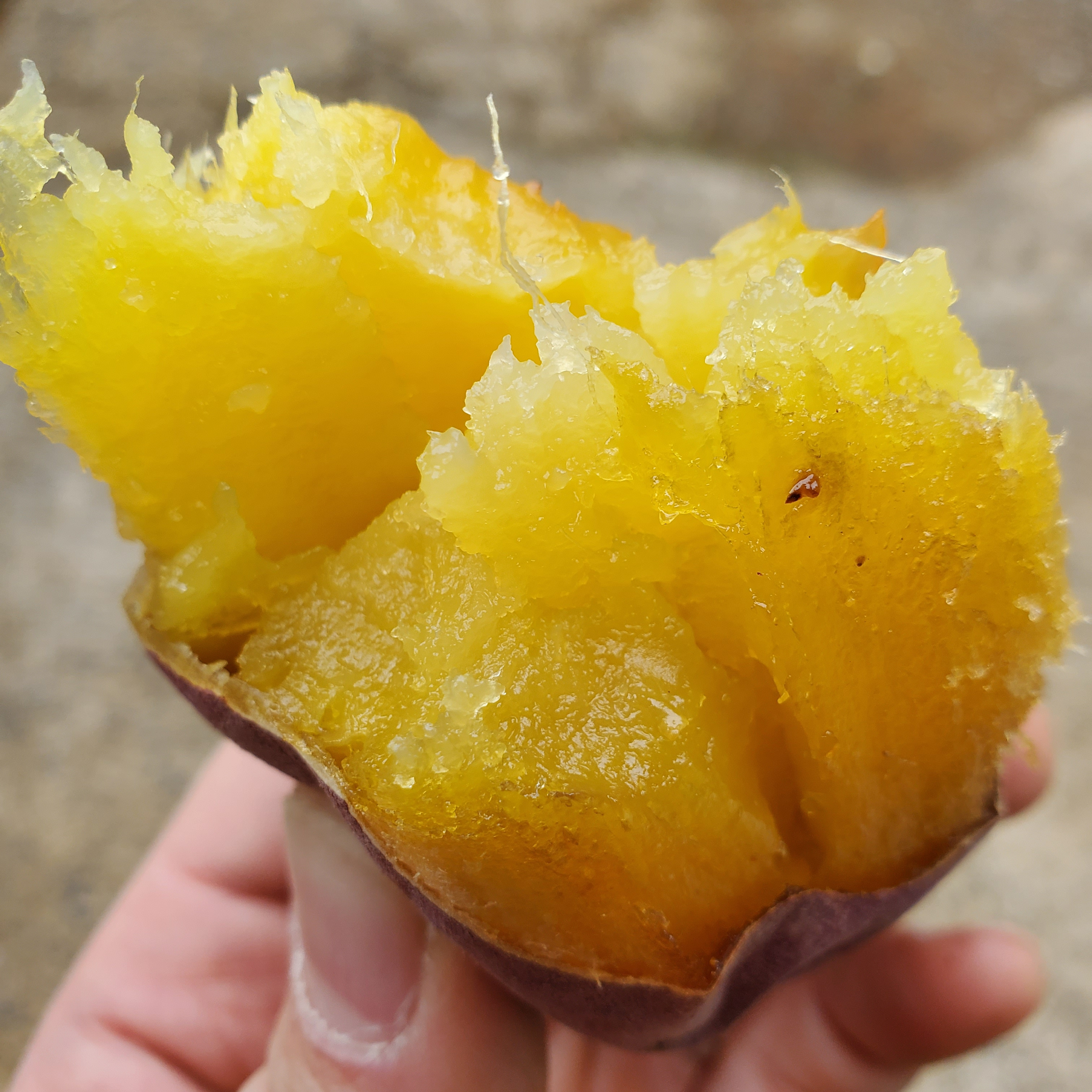 ねっとり極甘さつまいも！熟成紅はるか（s~2Lサイズ不揃い詰め合わせ