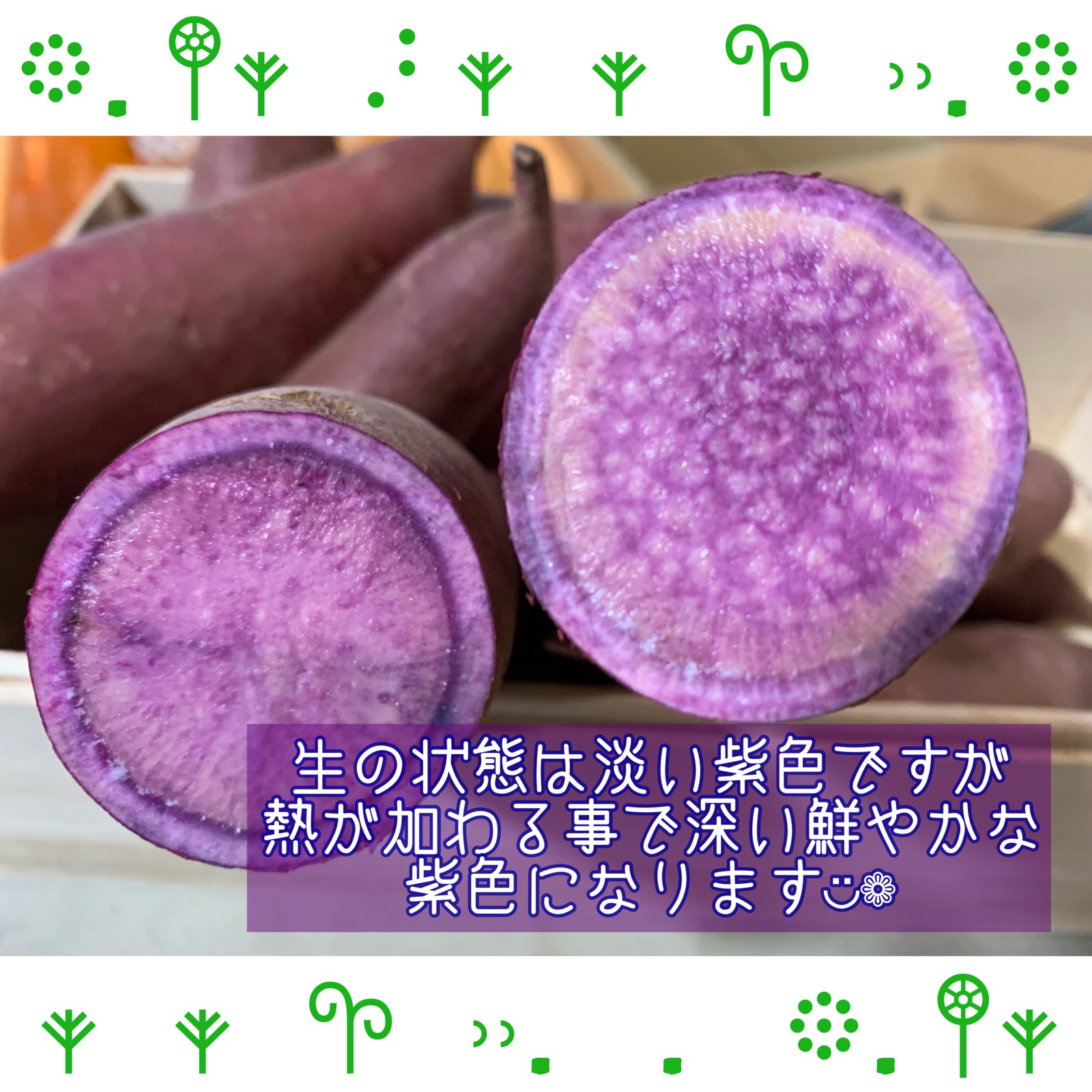 熊本県産熟成ふくむらさき ｜ 野菜/さつまいも 産直アウル 農家・漁師 