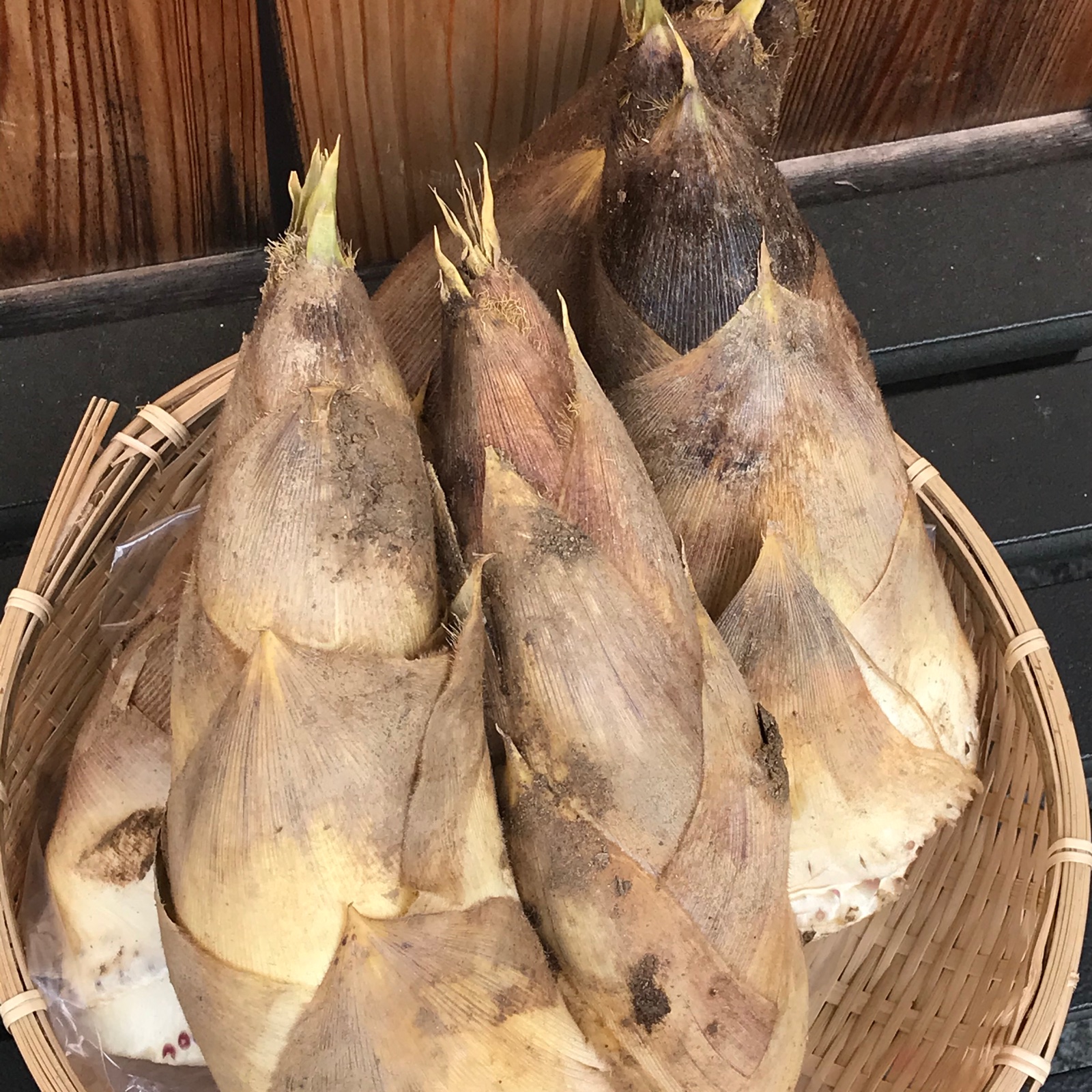 京都山城産たけのこと葉物野菜詰め合わせ（小） ｜ 野菜/野菜セット