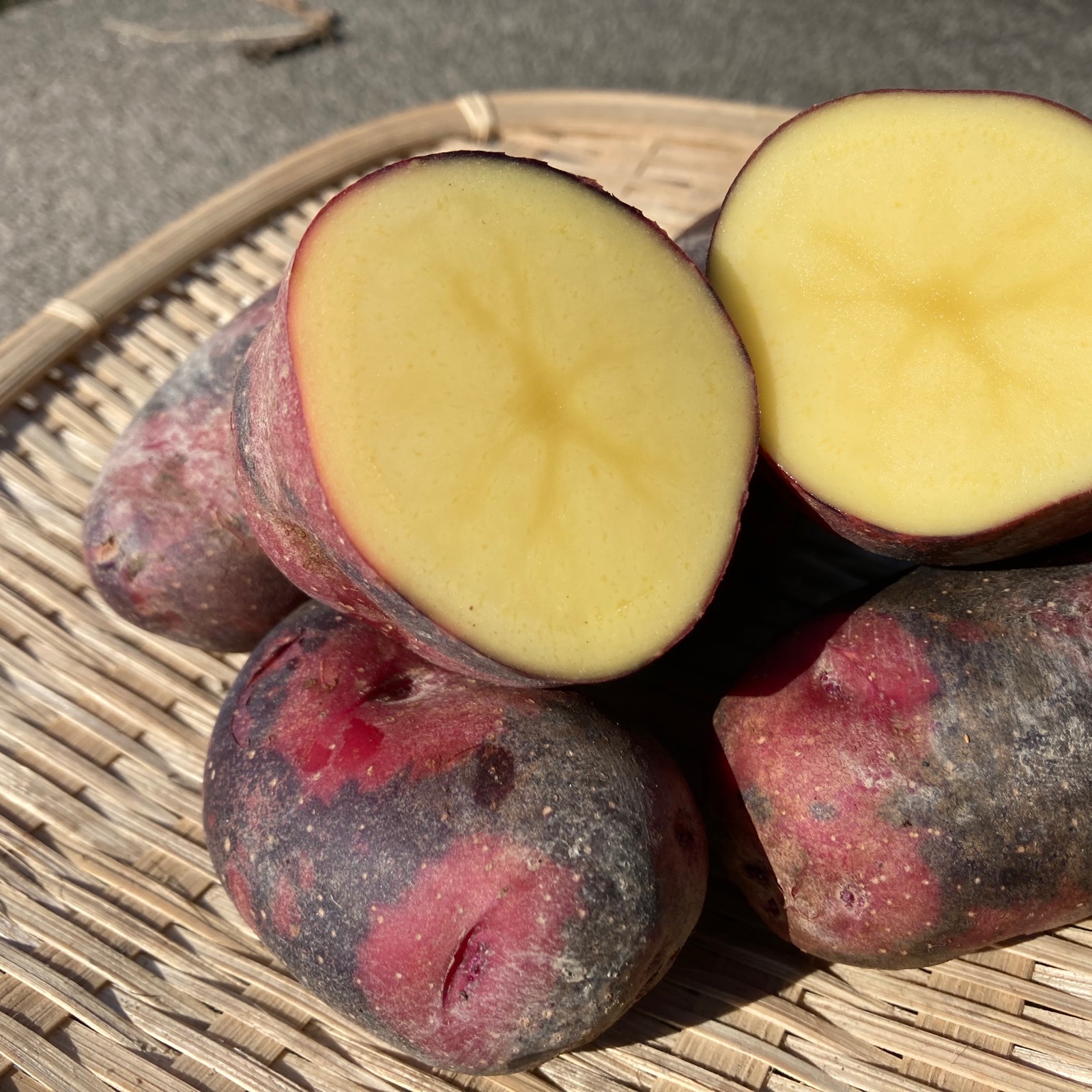 ジャガイモ グランドペチカ 栽培期間中農薬、除草剤使用していません