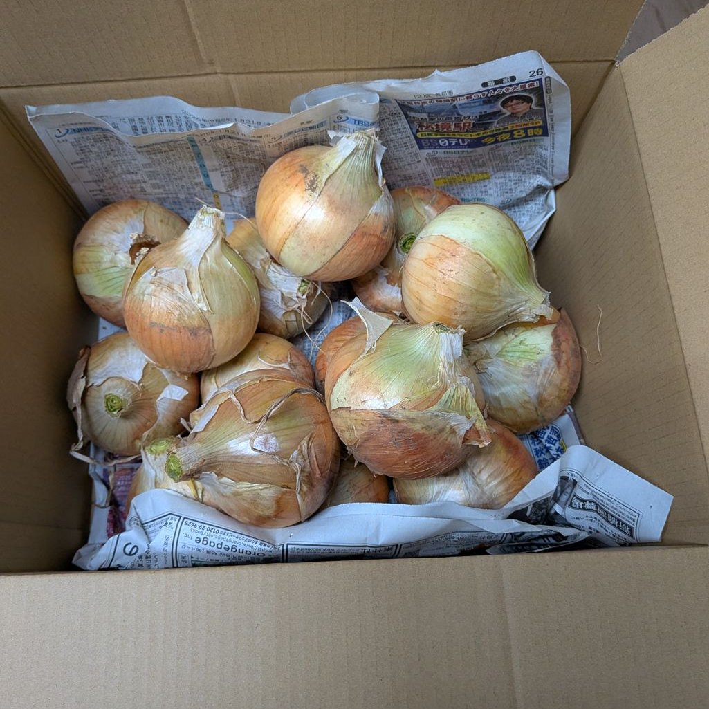 新玉ねぎ『約4.5kg』茨城県産品種は人気NO1ネオアース 【期間限定