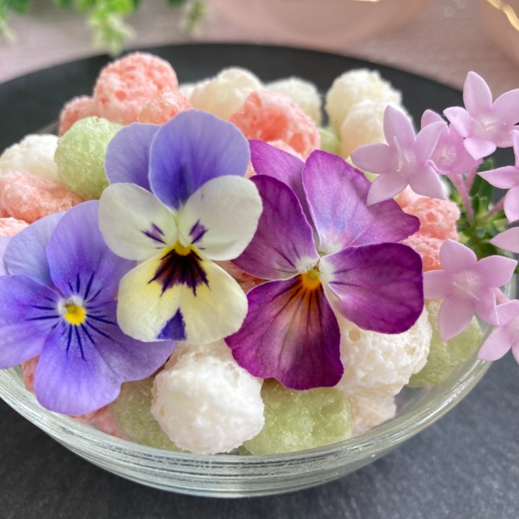 ひなまつり限定商品』【岐阜産】エディブルフラワー（食用）ビオラMIX